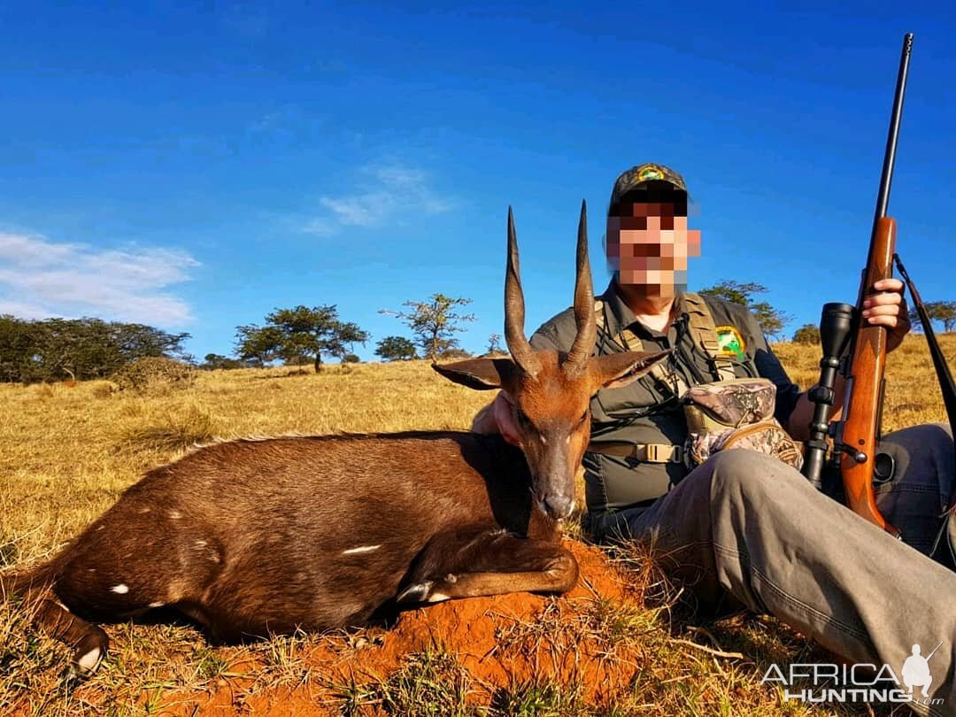 Bushbuck Hunting in South Africa