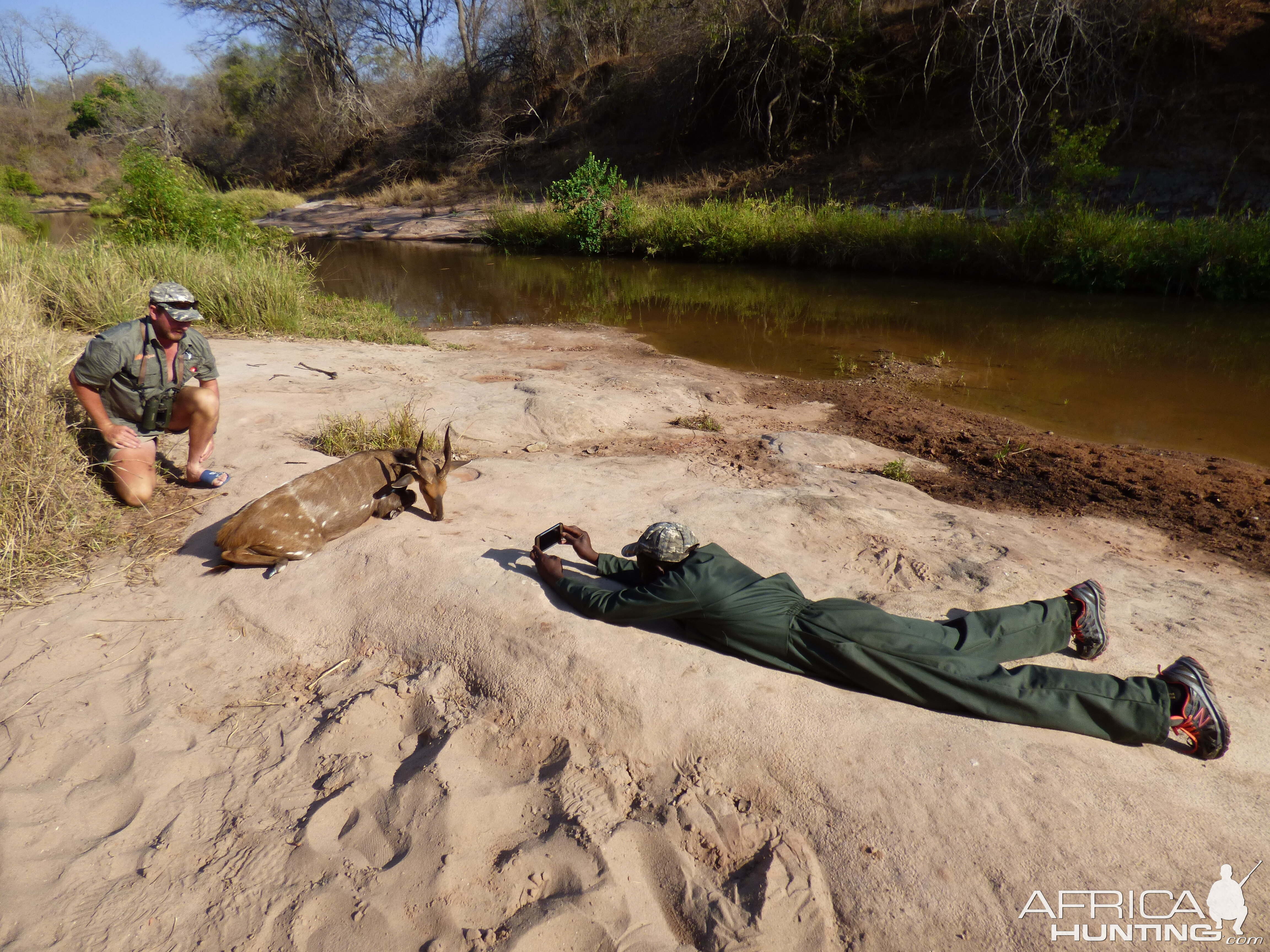 Bushbuck Hunting in Zimbabwe