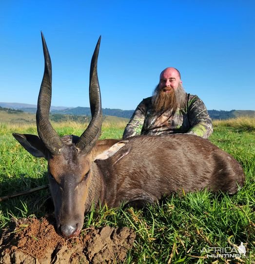 Bushbuck Hunting Kwa Zulu Natal South Africa