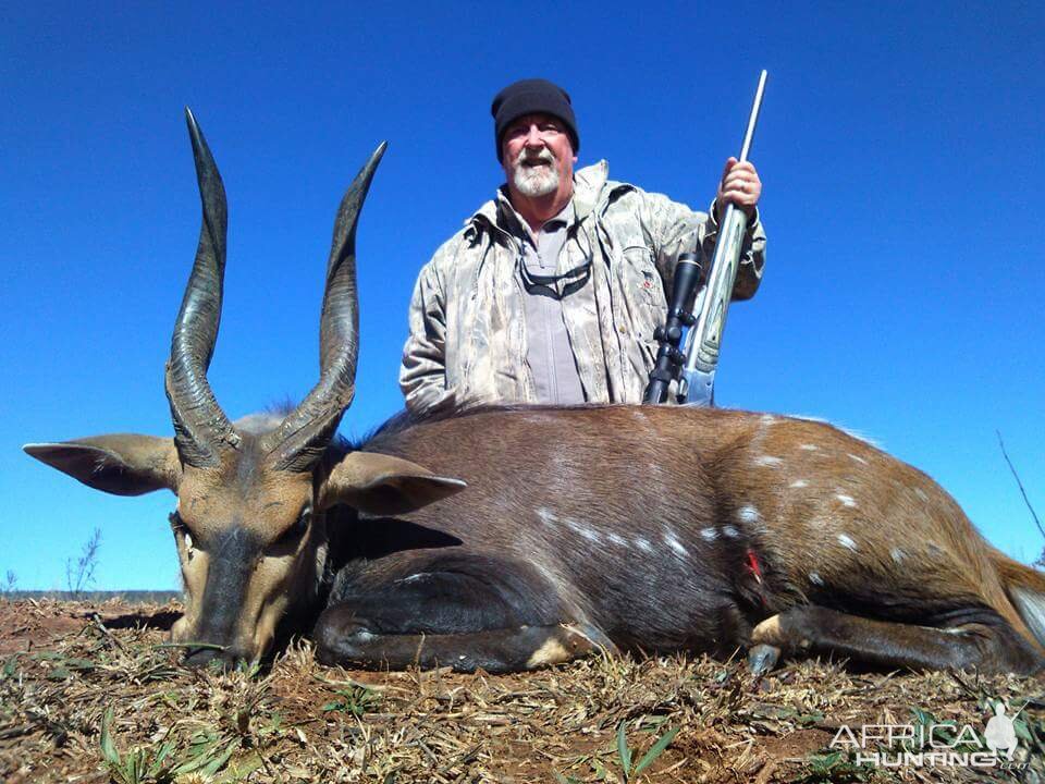 Bushbuck  Hunting South Africa