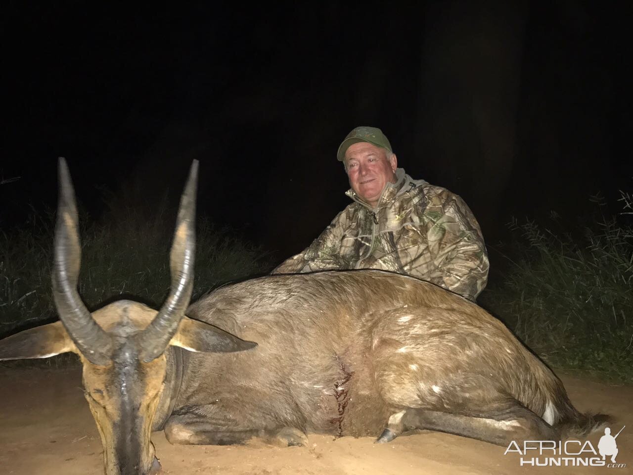 Bushbuck  Hunting South Africa