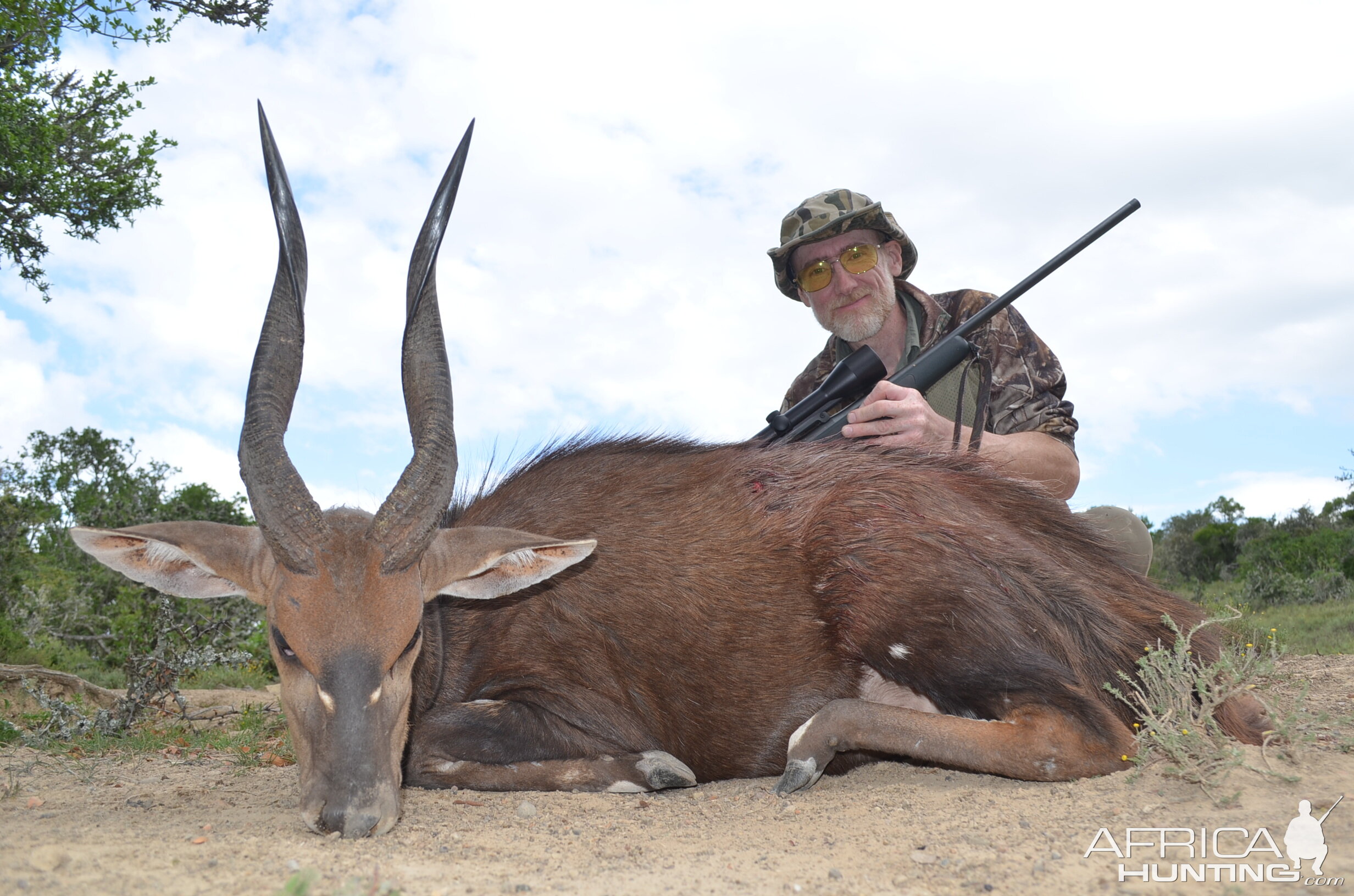 Bushbuck  Hunting South Africa