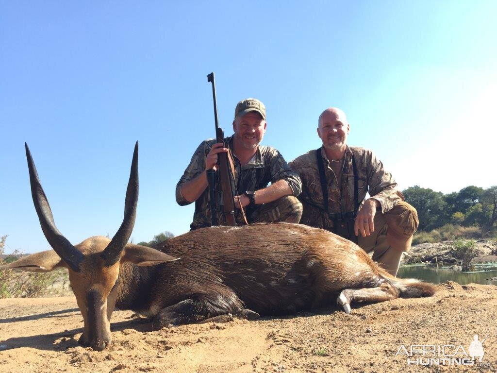 Bushbuck  Hunting South Africa