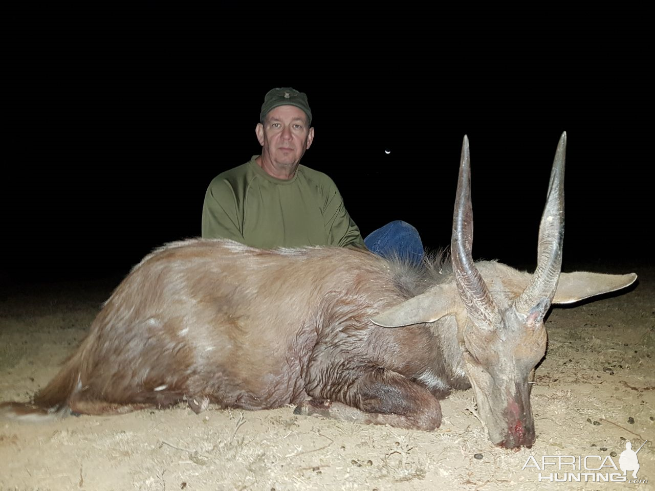 Bushbuck  Hunting South Africa