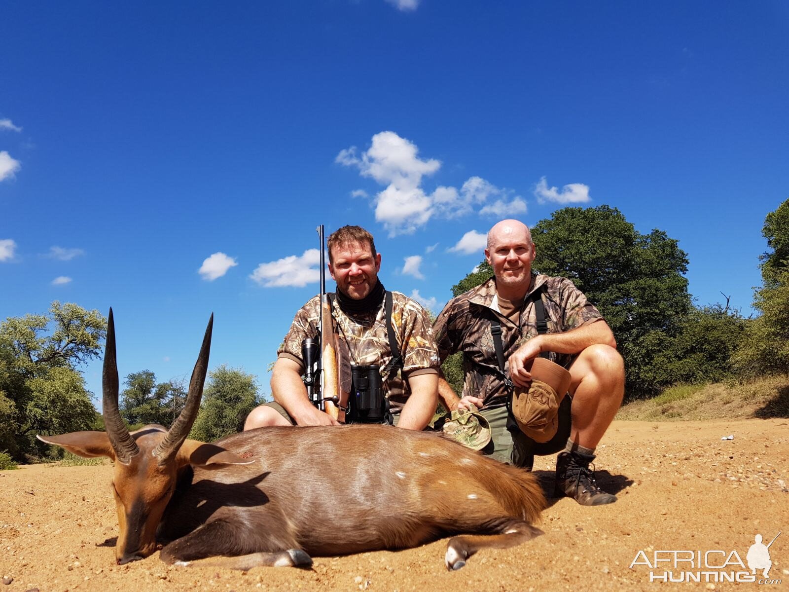 Bushbuck Hunting South Africa