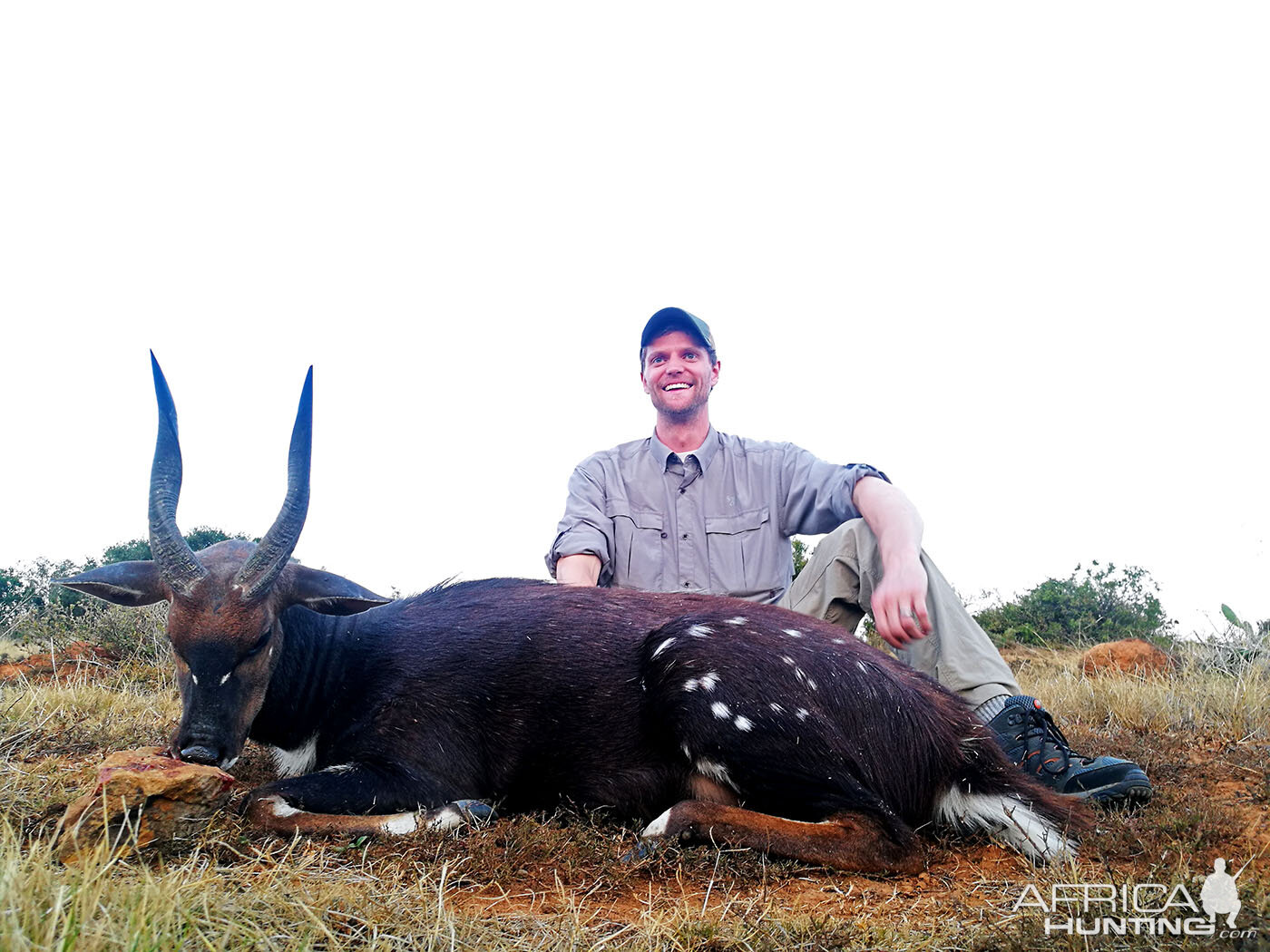 Bushbuck Hunting South Africa