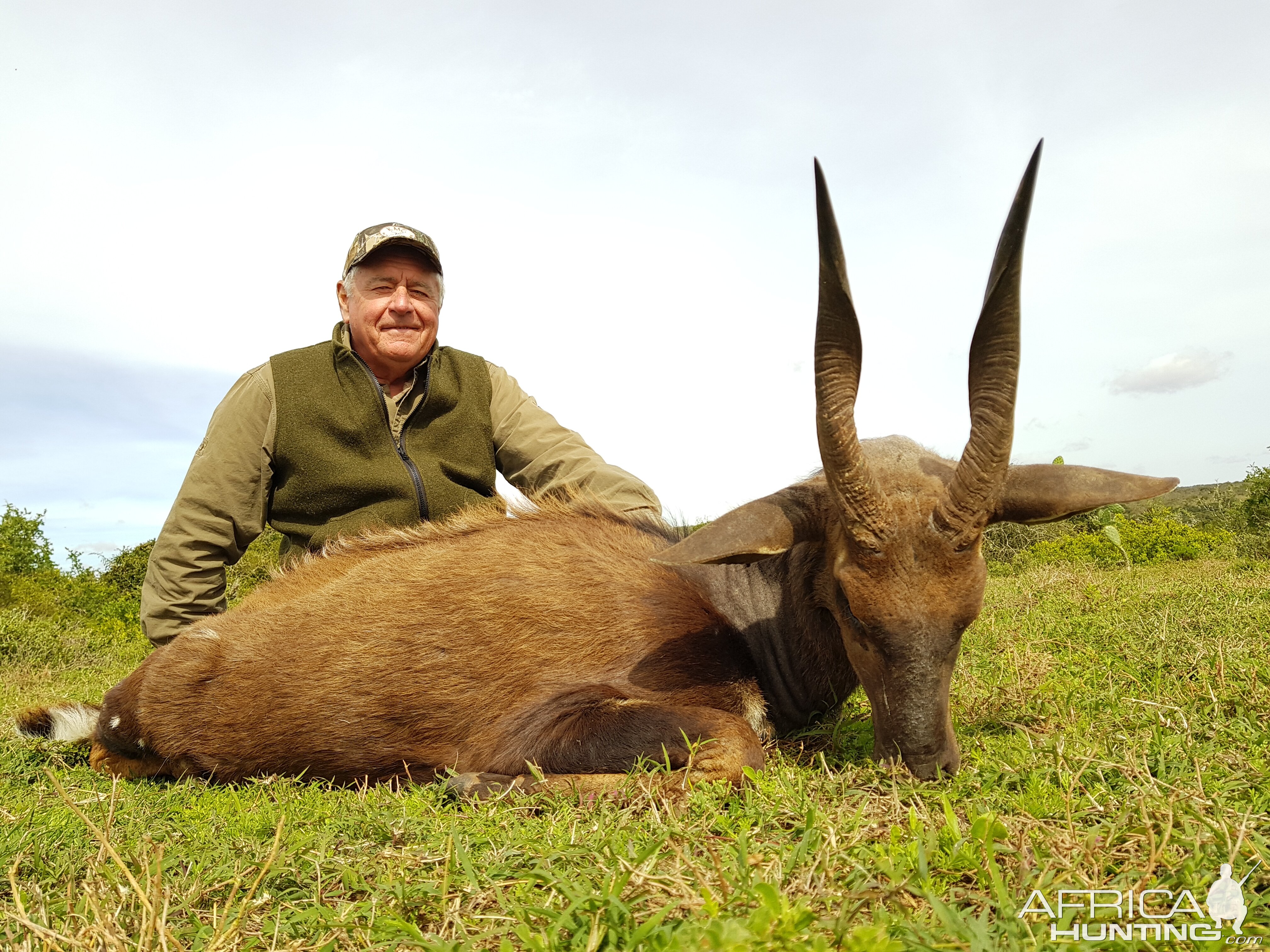 Bushbuck Hunting South Africa Hunting