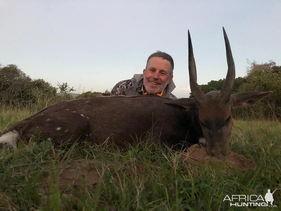 Bushbuck Hunting South Africa