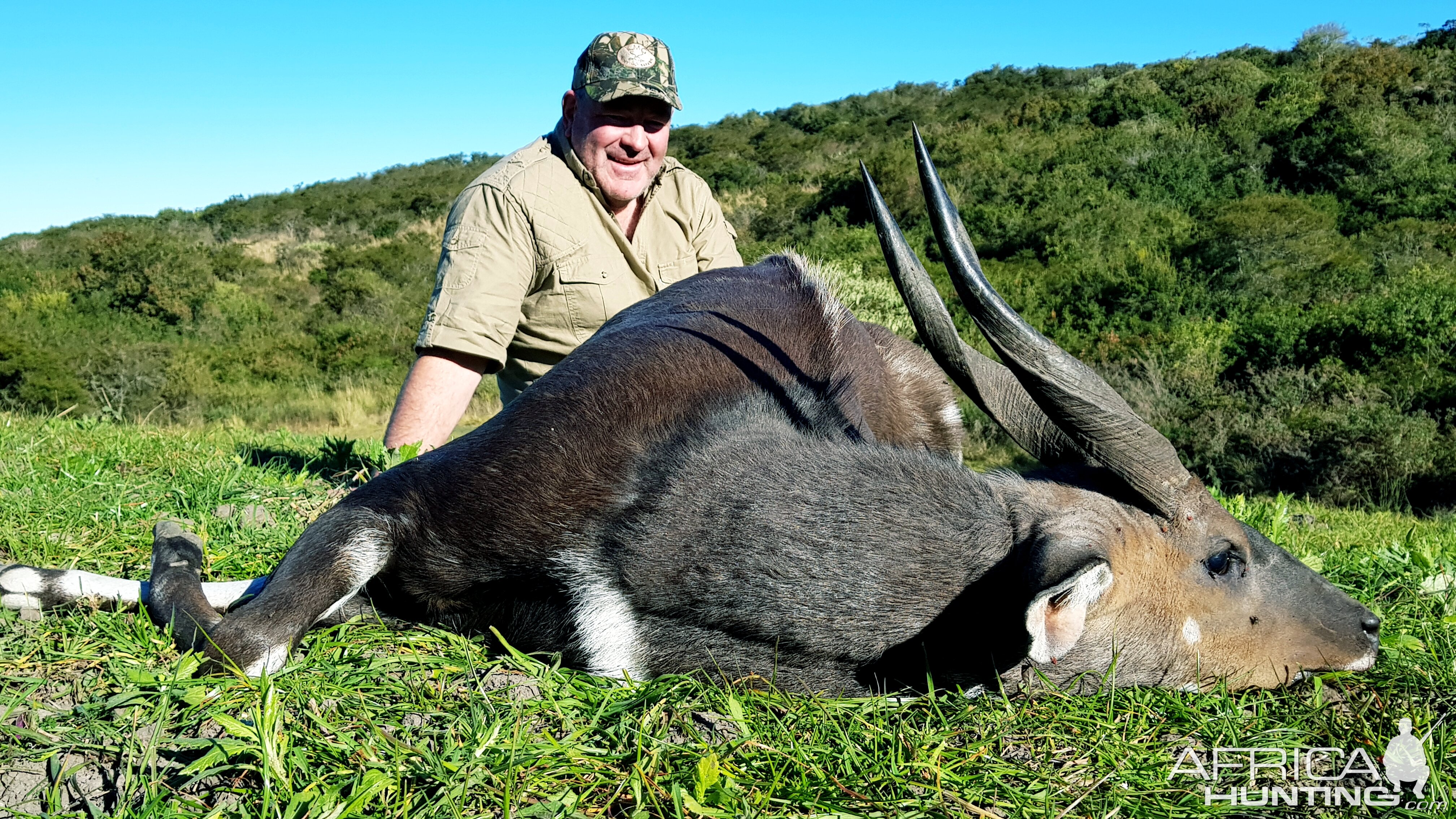 Bushbuck Hunting South Africa