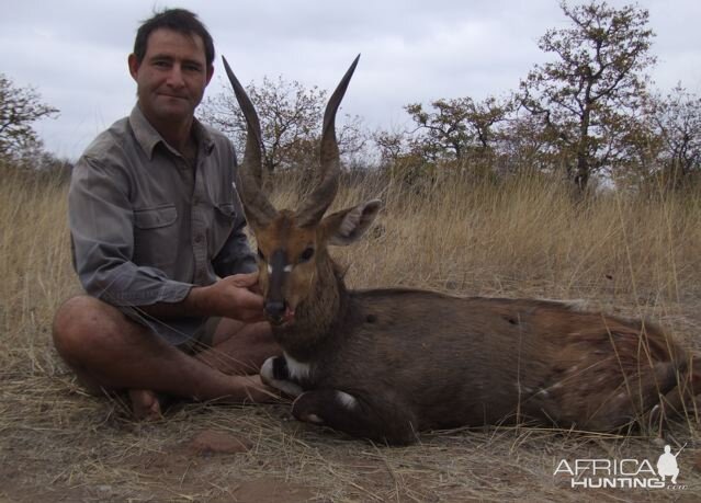 Bushbuck  Hunting