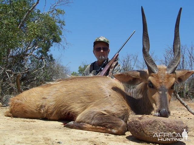 Bushbuck  Hunting