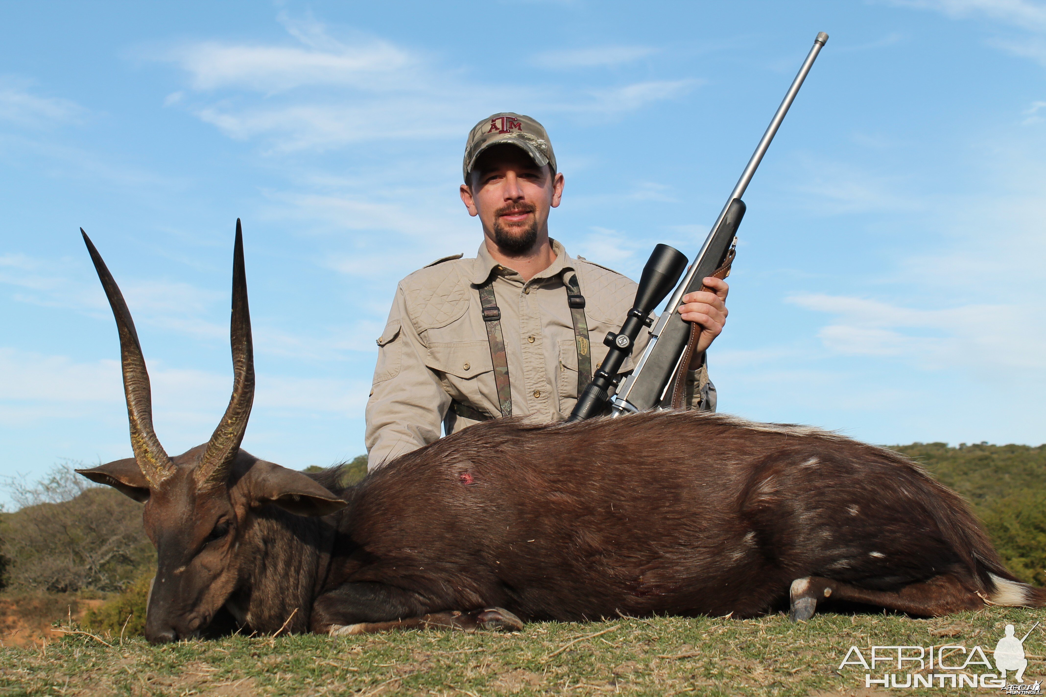 Bushbuck KMG Hunting Safaris