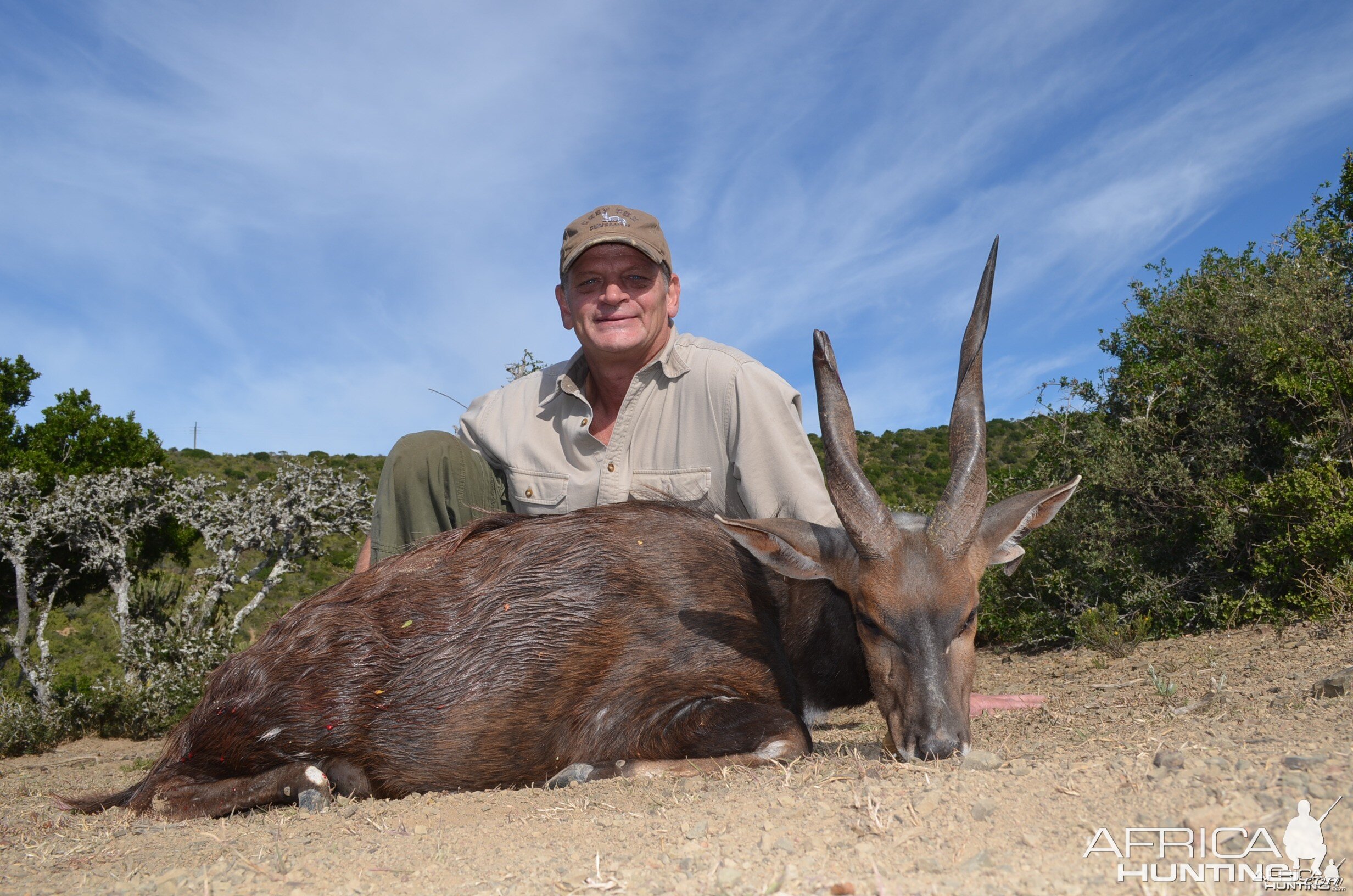 Bushbuck KMG Hunting Safaris