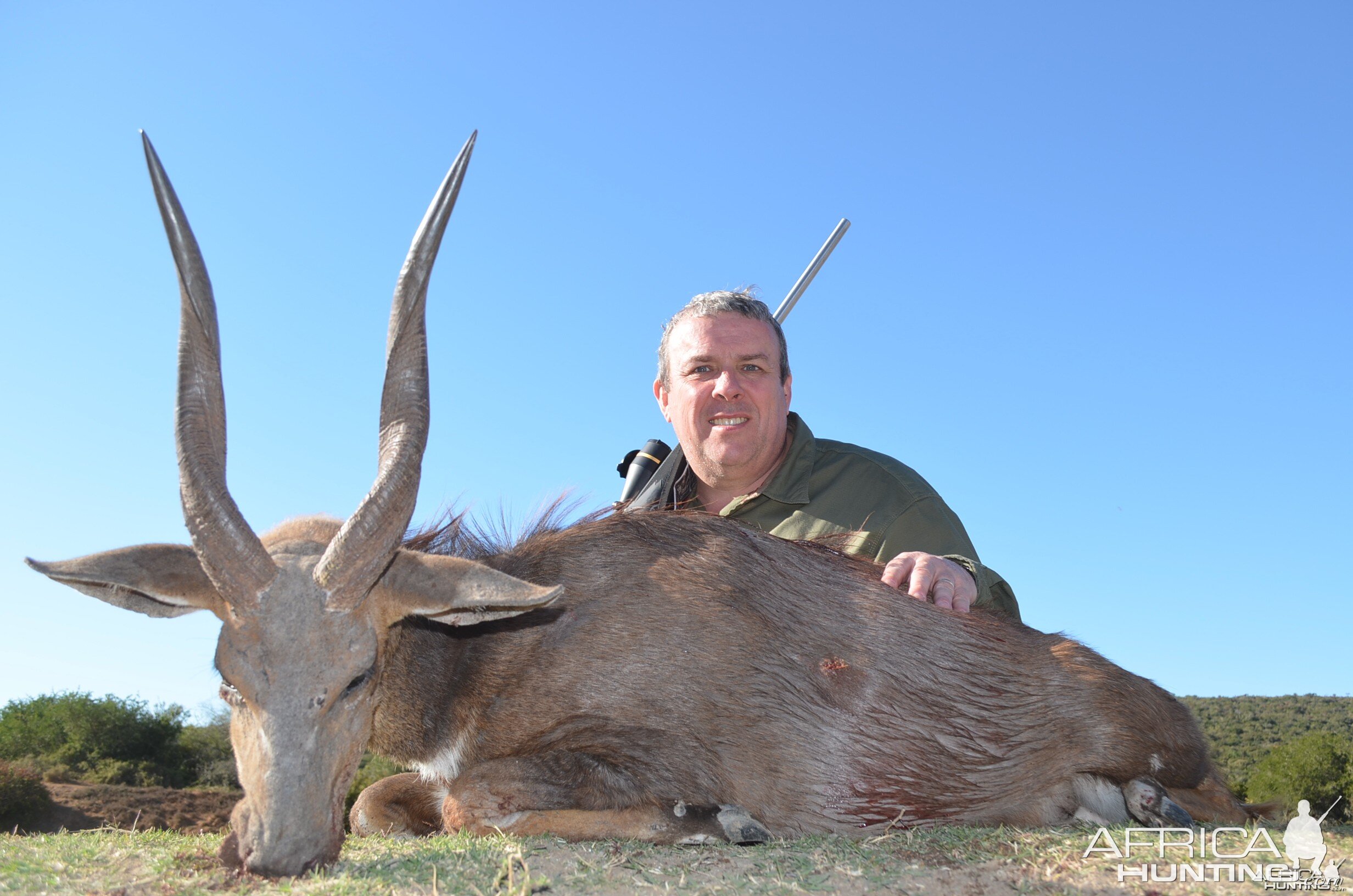 Bushbuck KMG Hunting Safaris