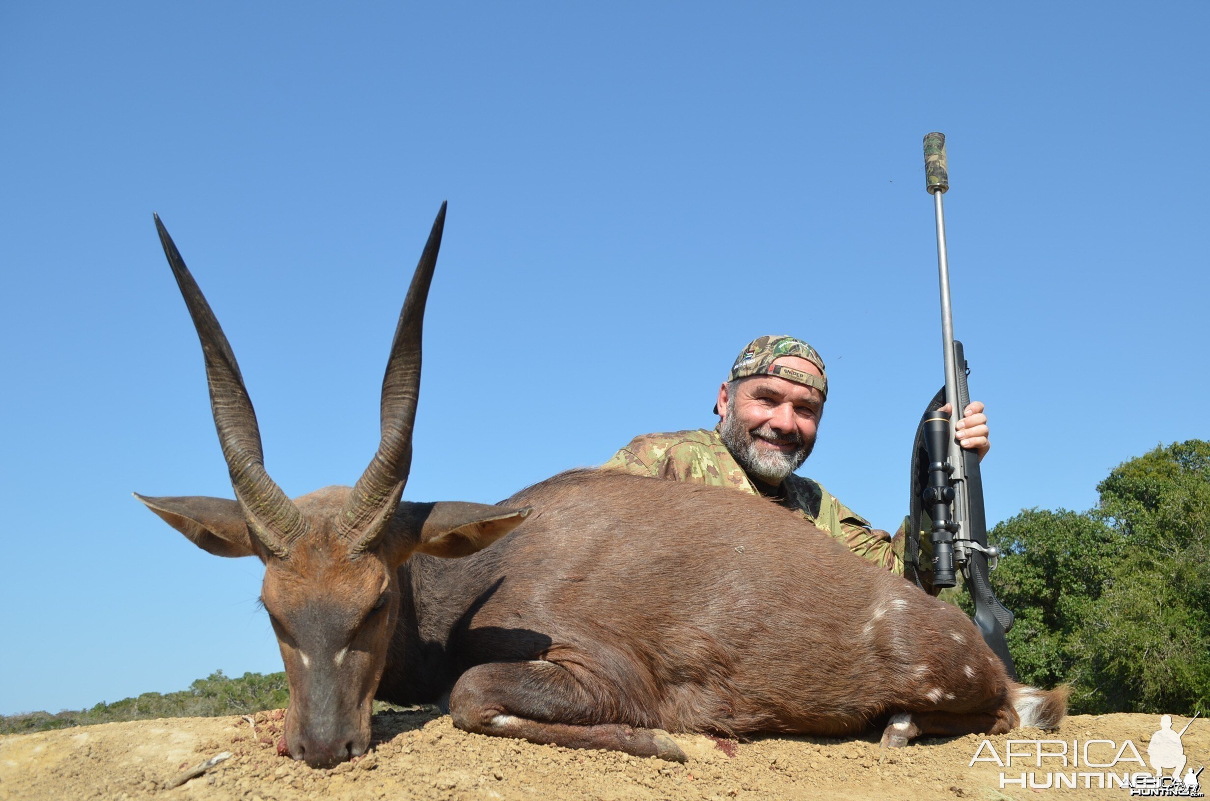 Bushbuck KMG Hunting Safaris