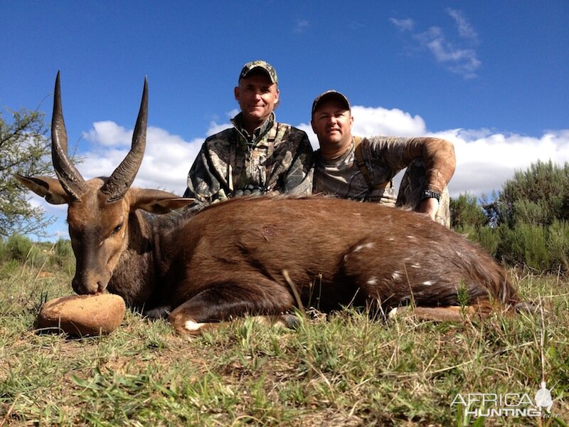 Bushbuck Namibia Hunt