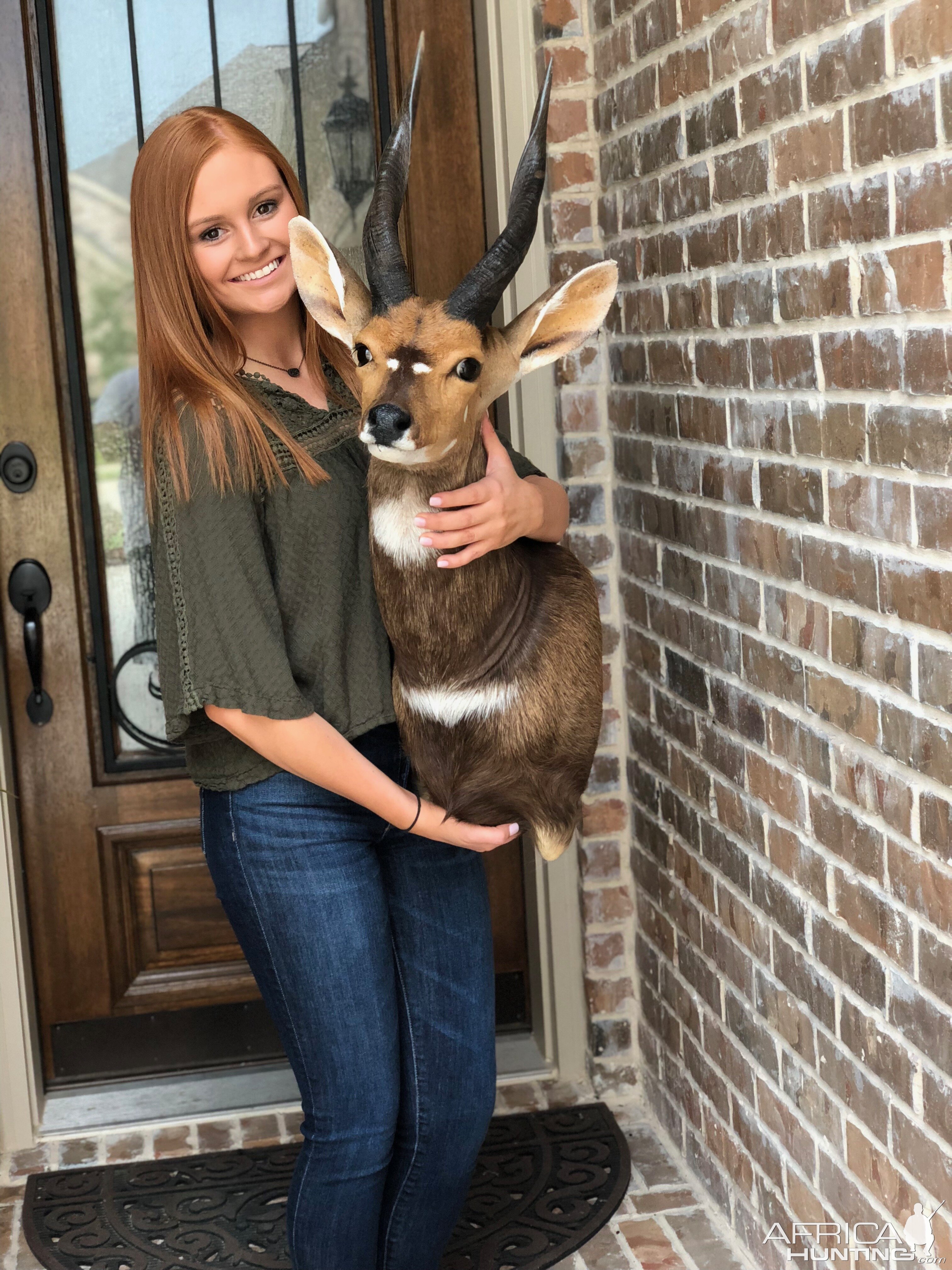 Bushbuck Shoulder Mount Taxidermy