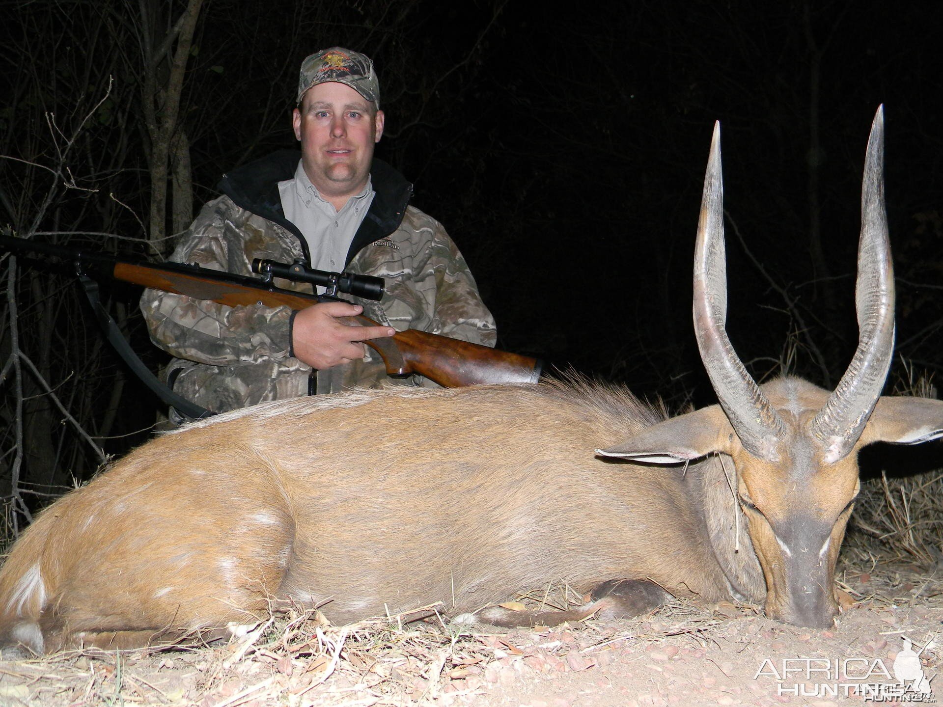 Bushbuck South Africa