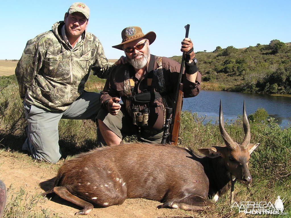 Bushbuck South Africa