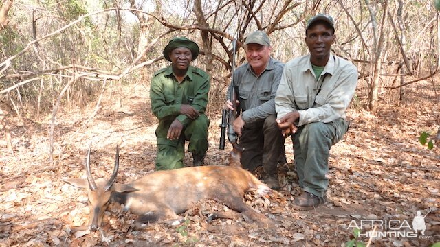 Bushbuck Tanzania Hunting