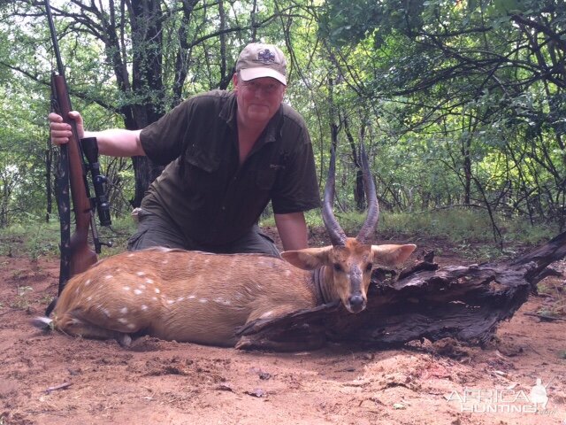 Bushbuck Zimbabwe Hunt