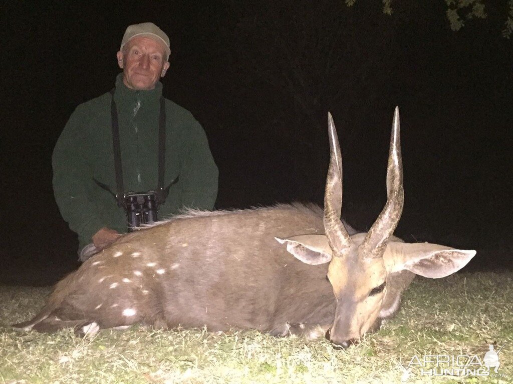 Bushbuck Zimbabwe Hunting