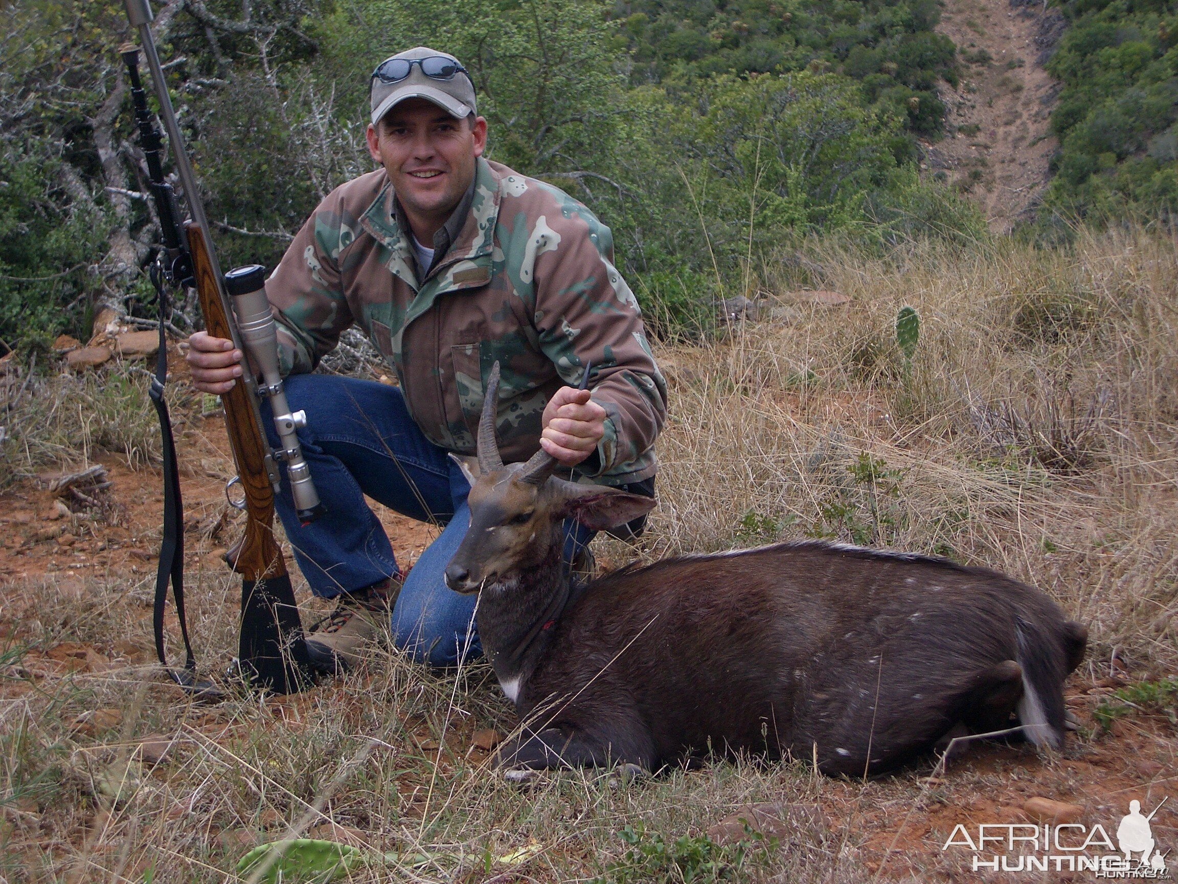 Bushbuck