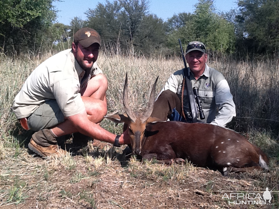 Bushbuck