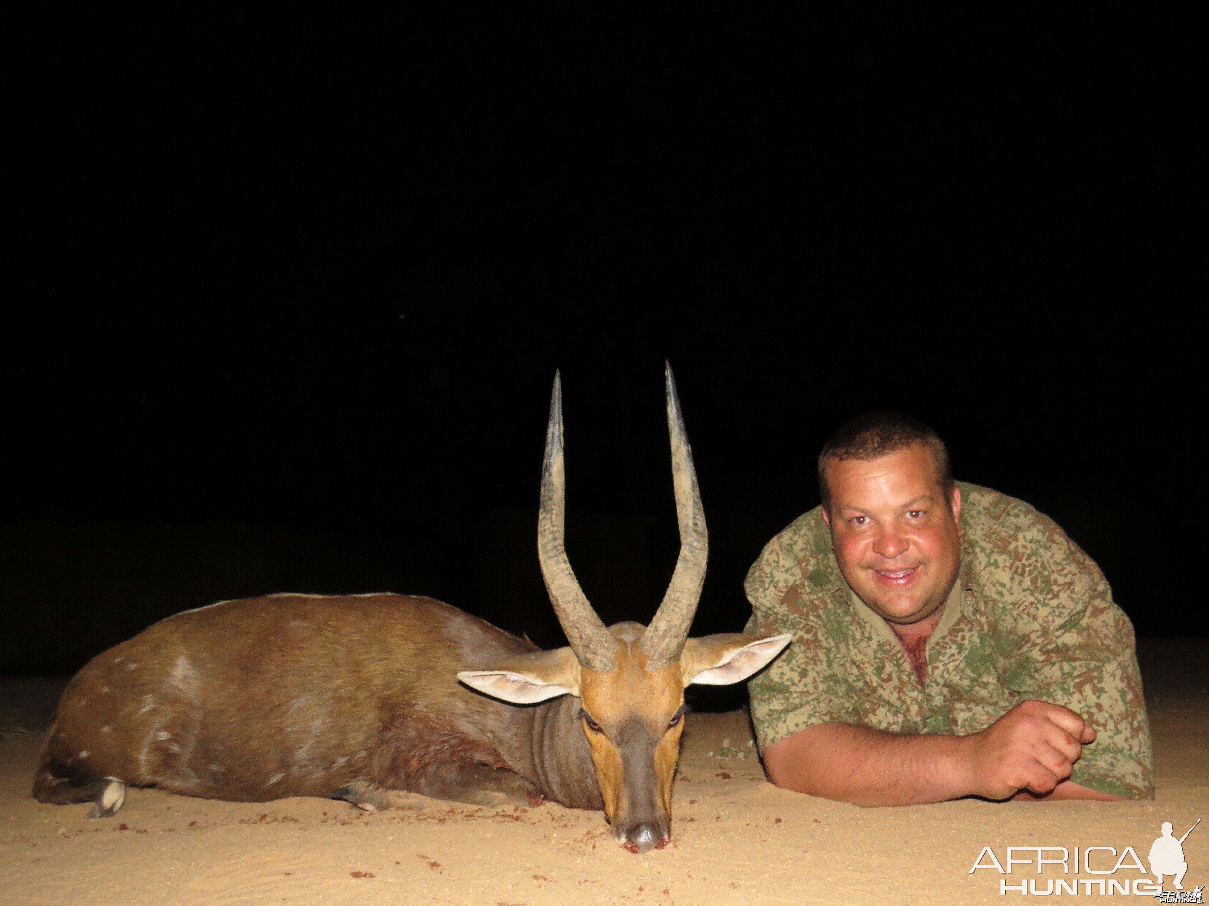 Bushbuck