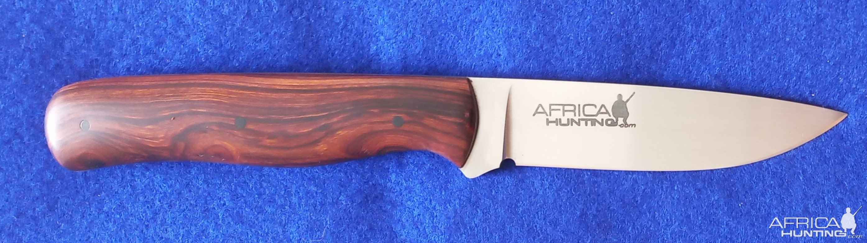 Bushcraft Hunter Knife With Arizona Desert Ironwood