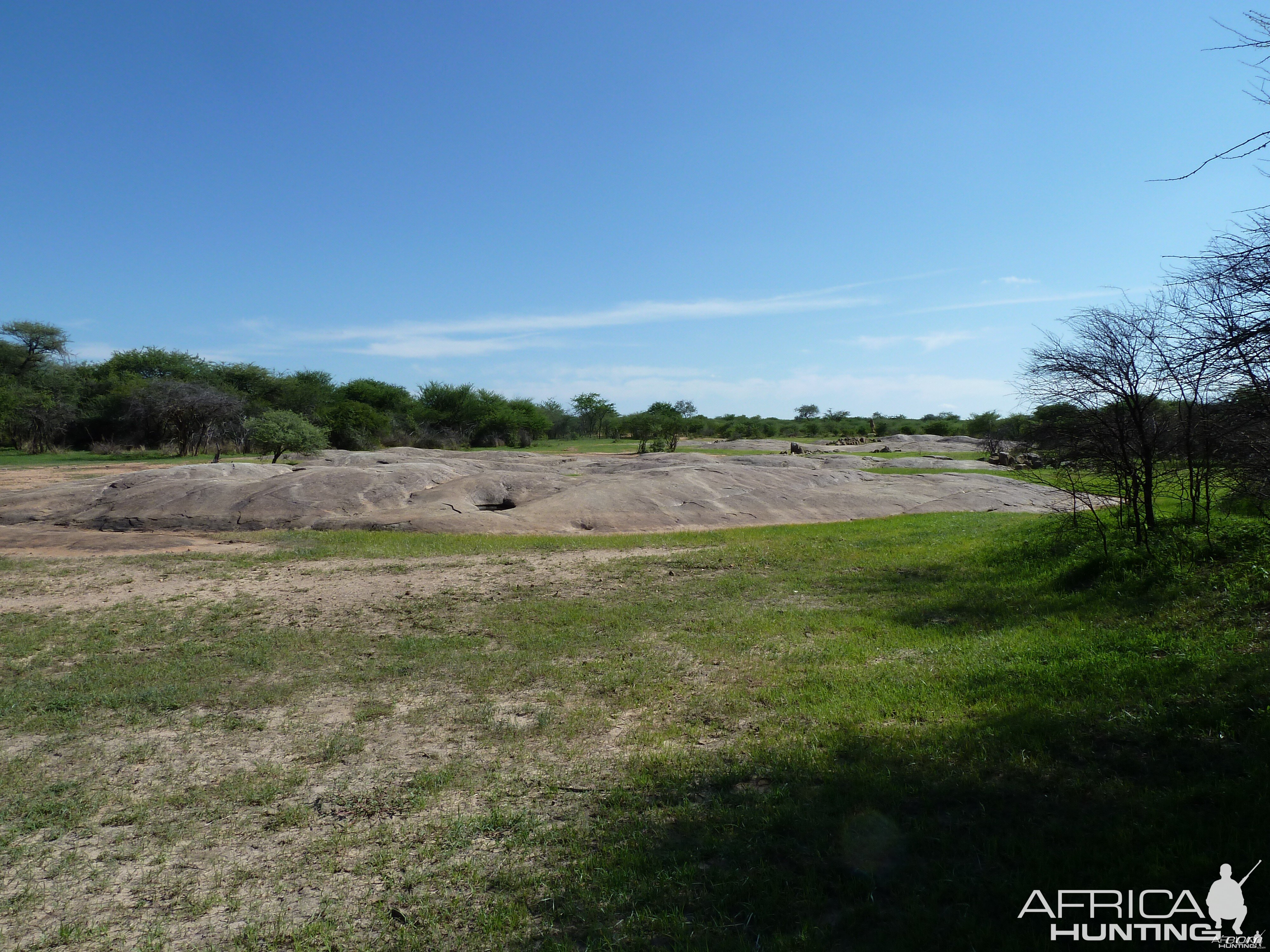 Bushmen rock engraving area in Namibia