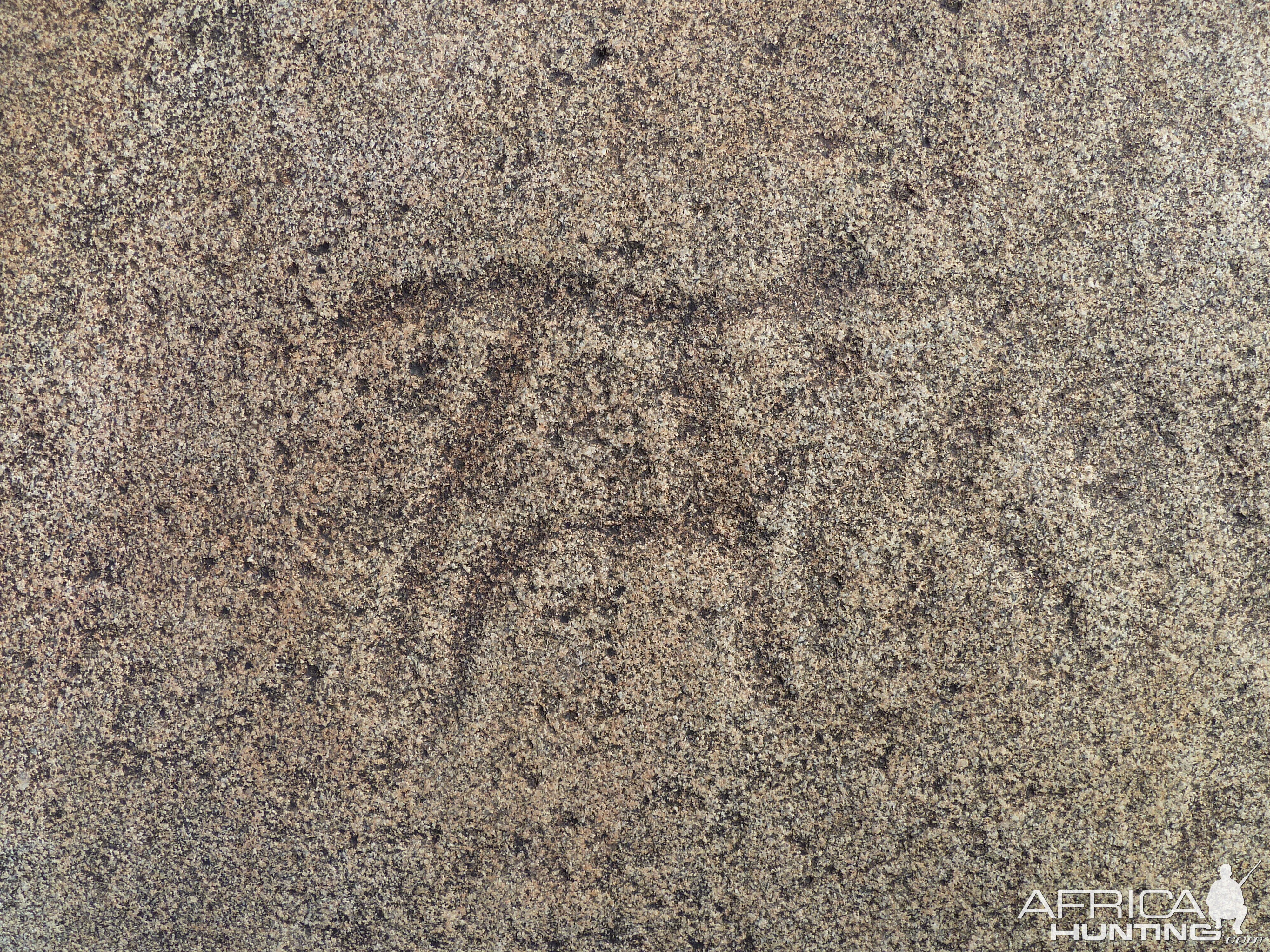 Bushmen rock engraving of antelope in Namibia