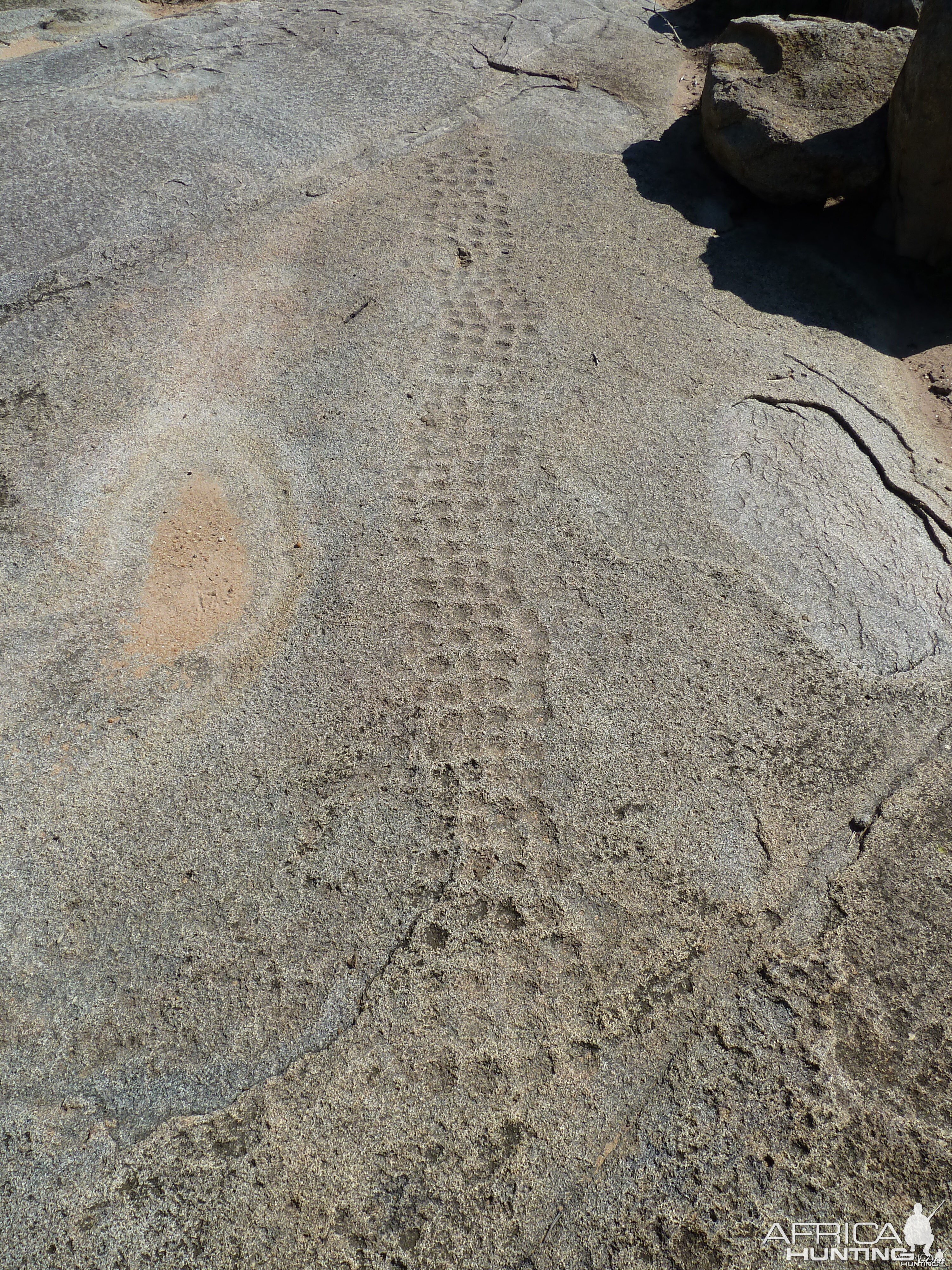 Bushmen rock engraving of playing game in Namibia