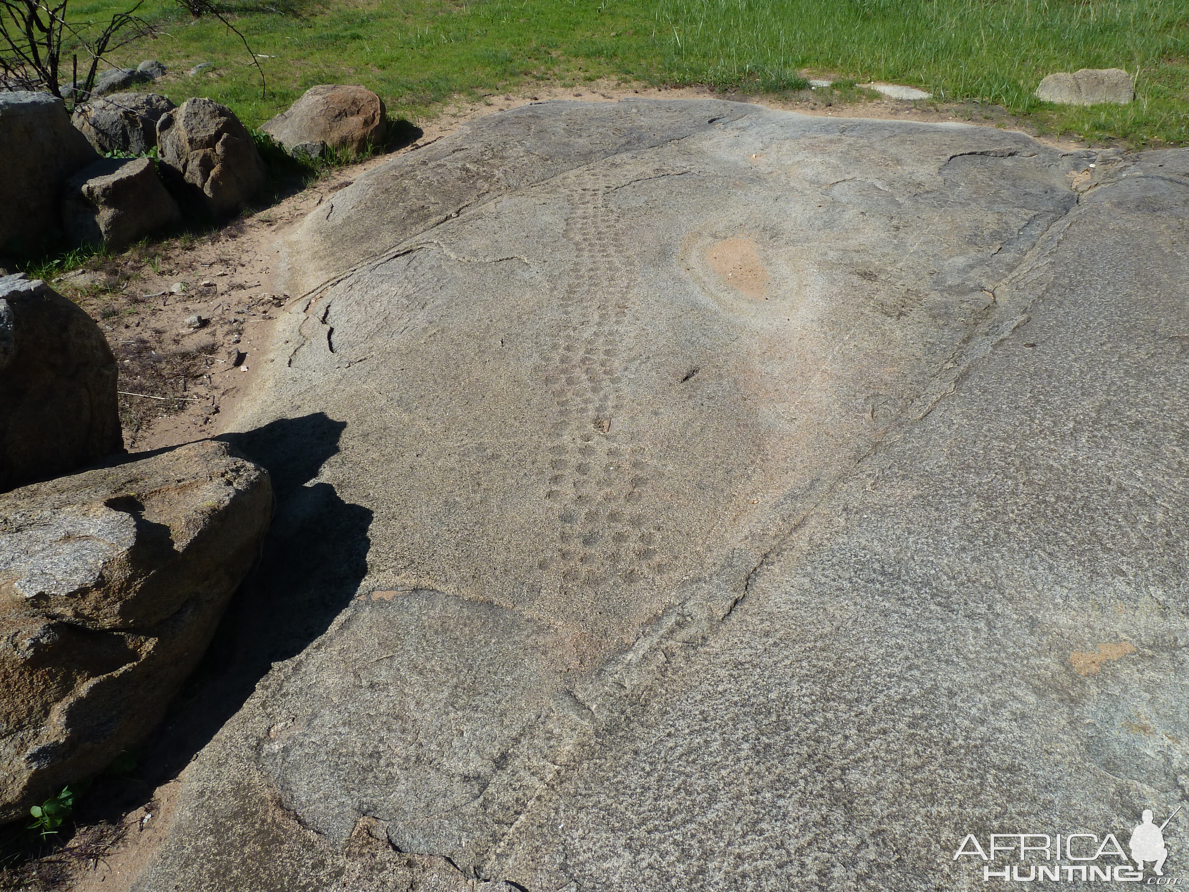 Bushmen rock engraving of playing game in Namibia