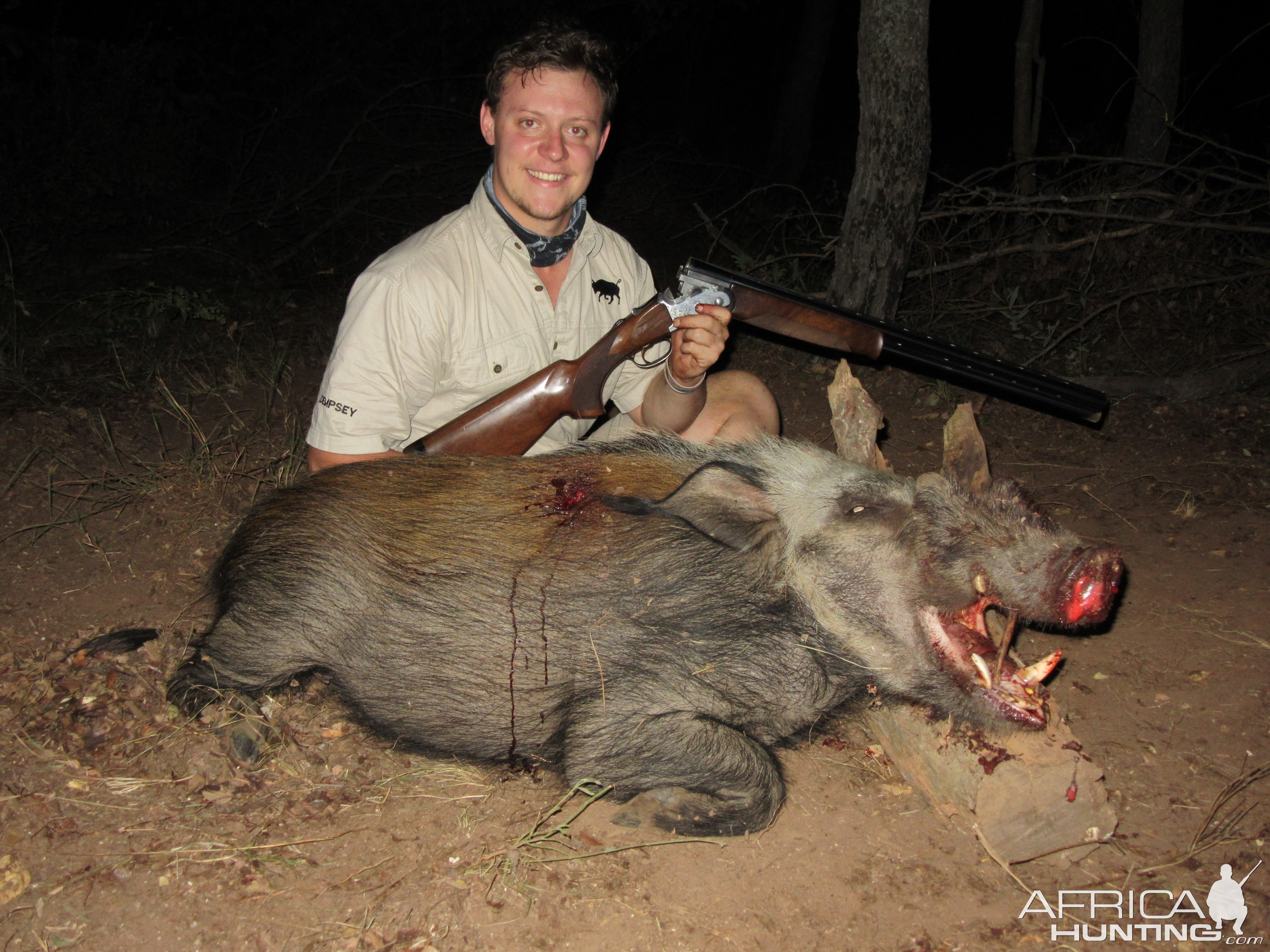 Bushpig Boar