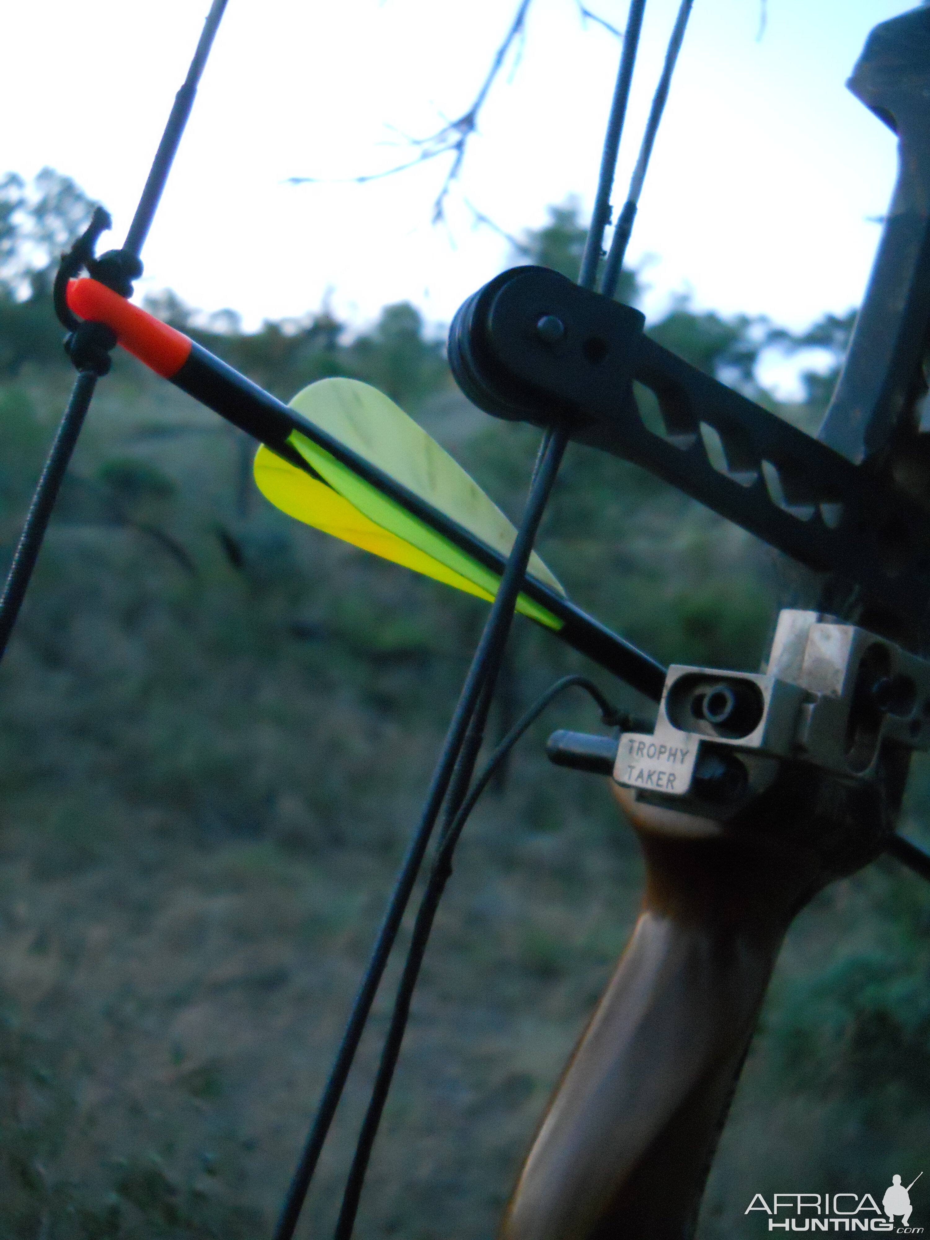 Bushpig Bow Hunt in South Africa