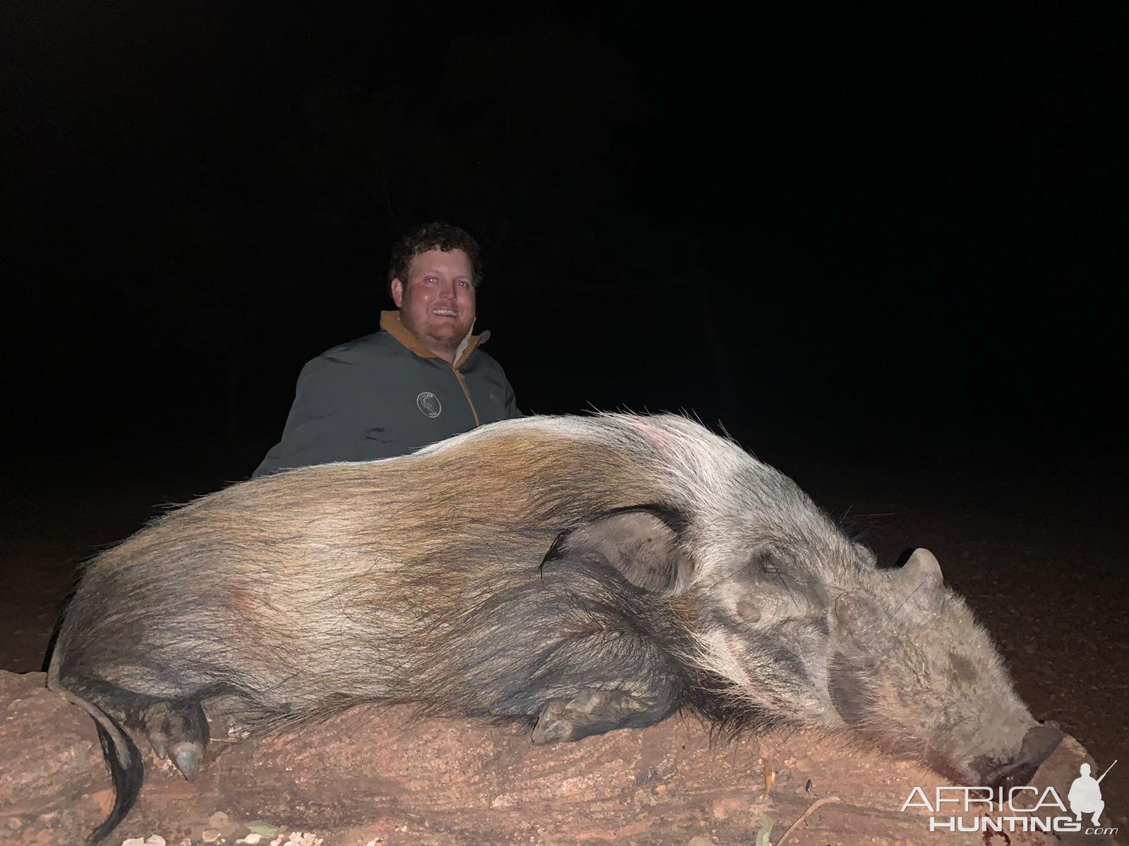 Bushpig Hunt Limpopo South Africa