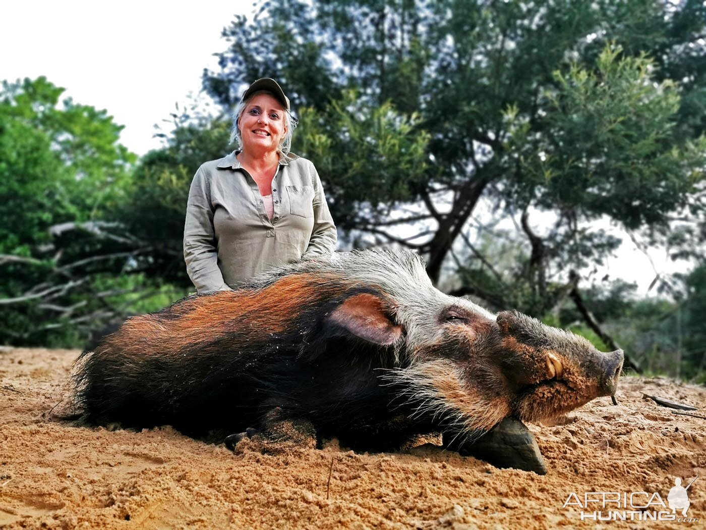 Bushpig Hunt South Africa