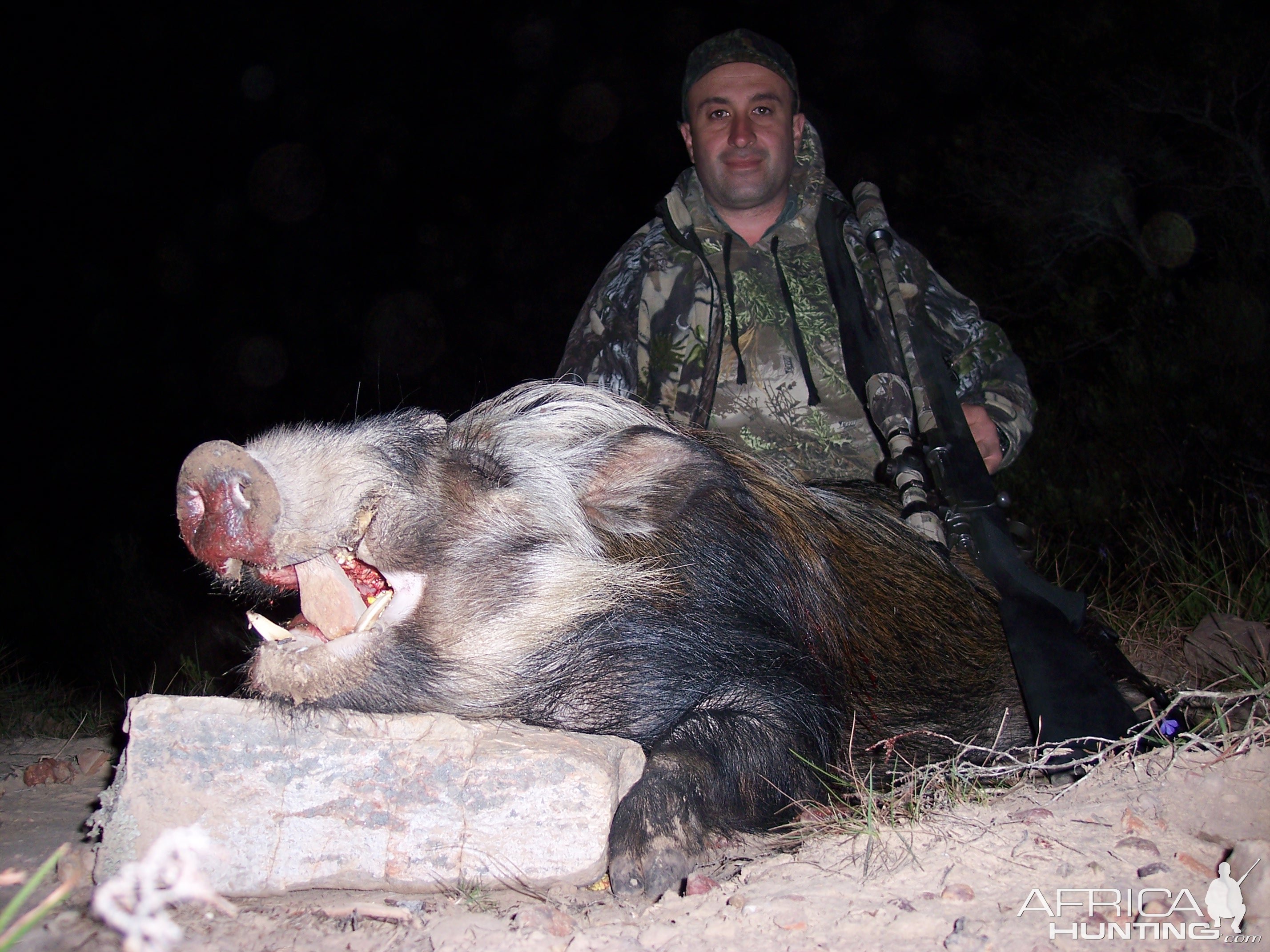 Bushpig Hunt South Africa