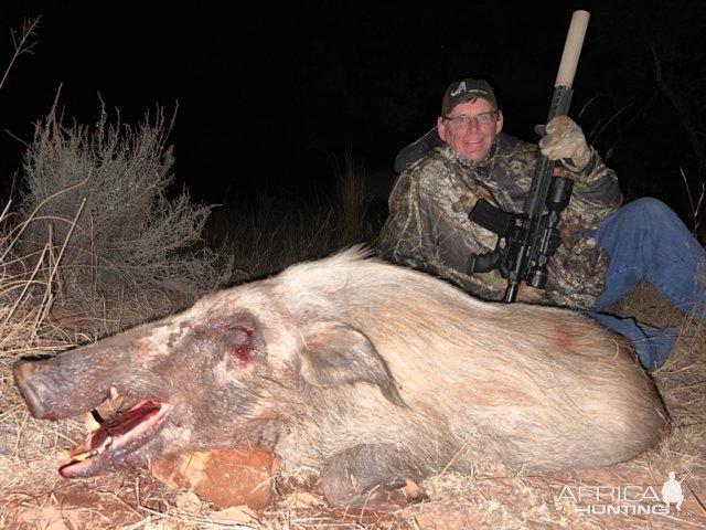 Bushpig Hunt South Africa