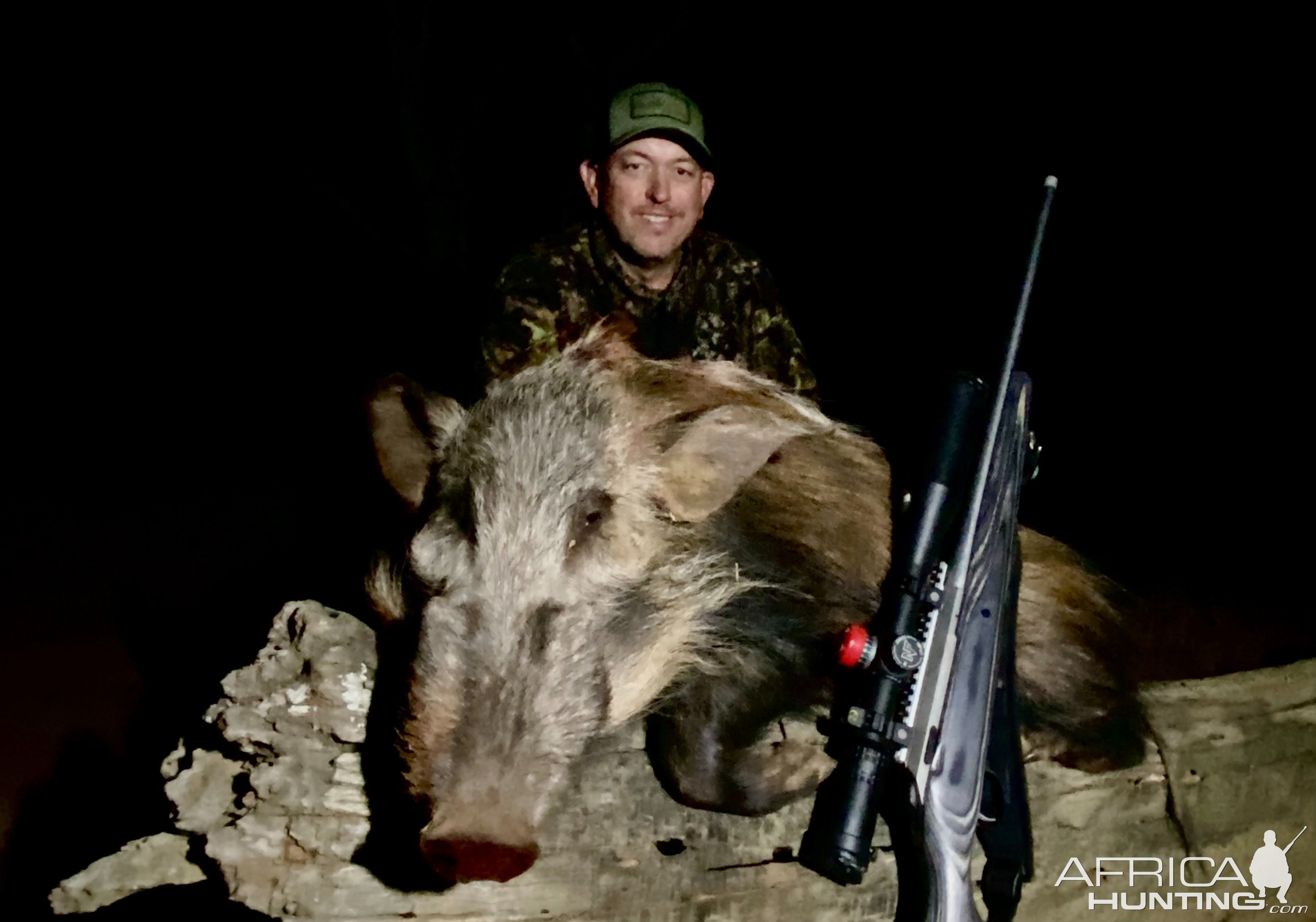 Bushpig Hunt South Africa