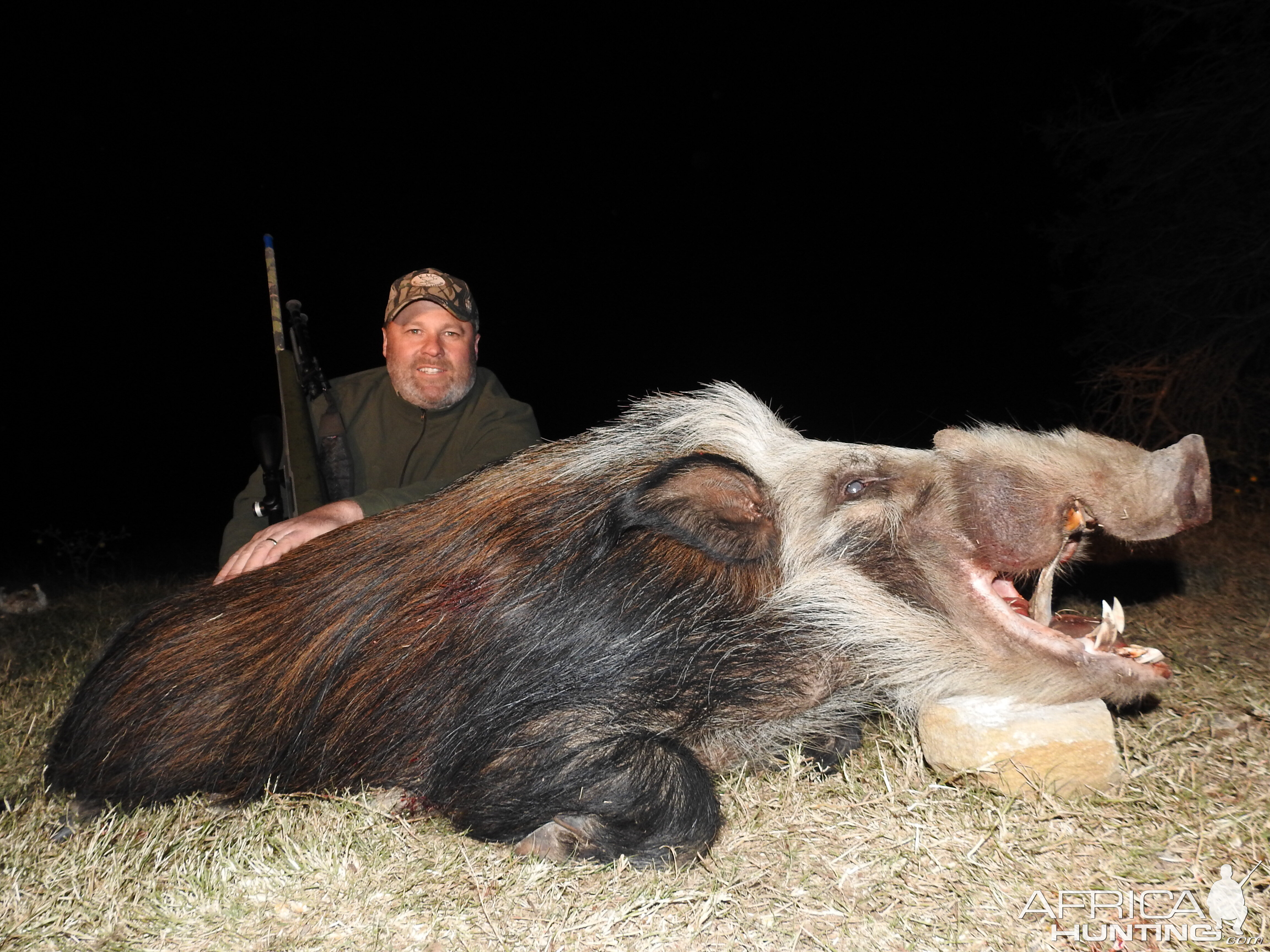 Bushpig Hunt South Africa