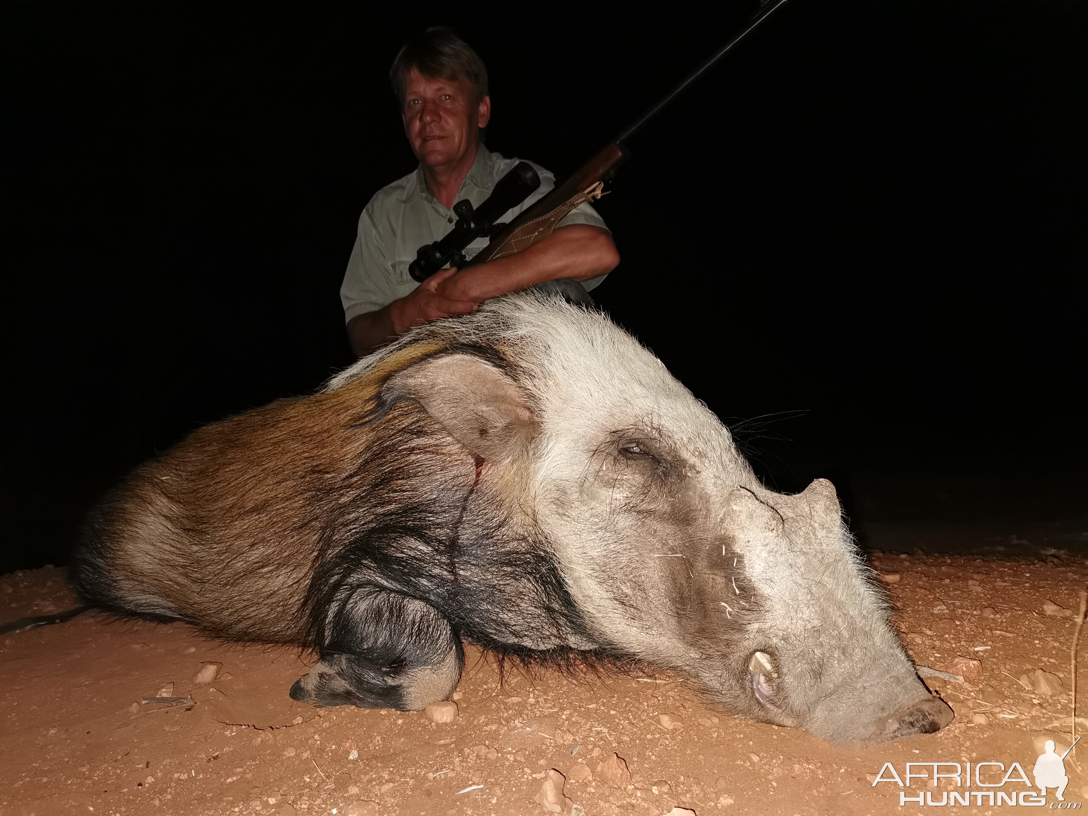 Bushpig Hunt South Africa