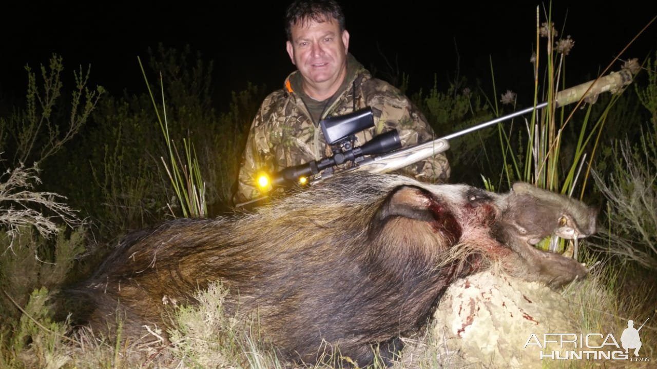 Bushpig Hunt