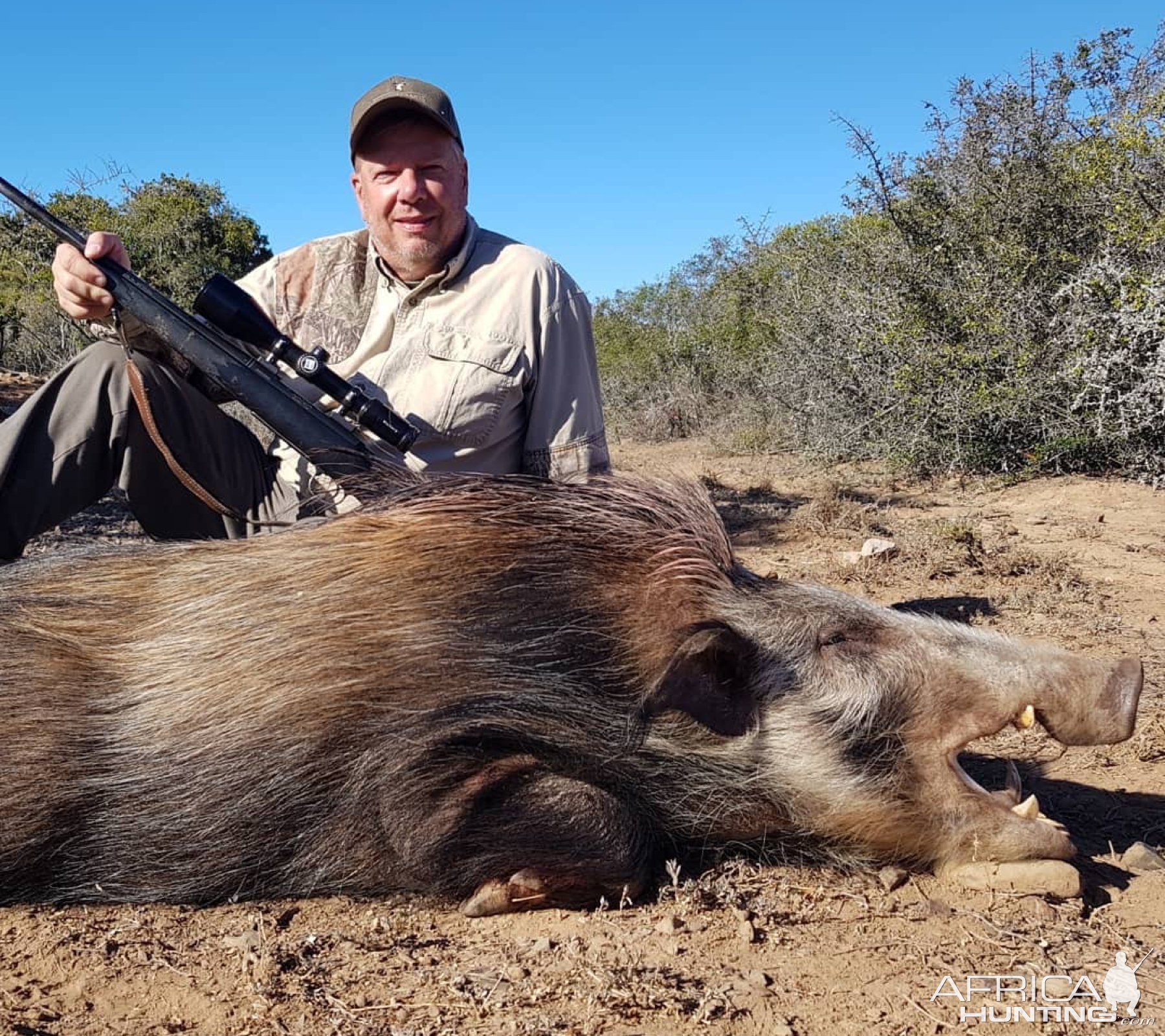 Bushpig Hunting Eastern Cape South Africa