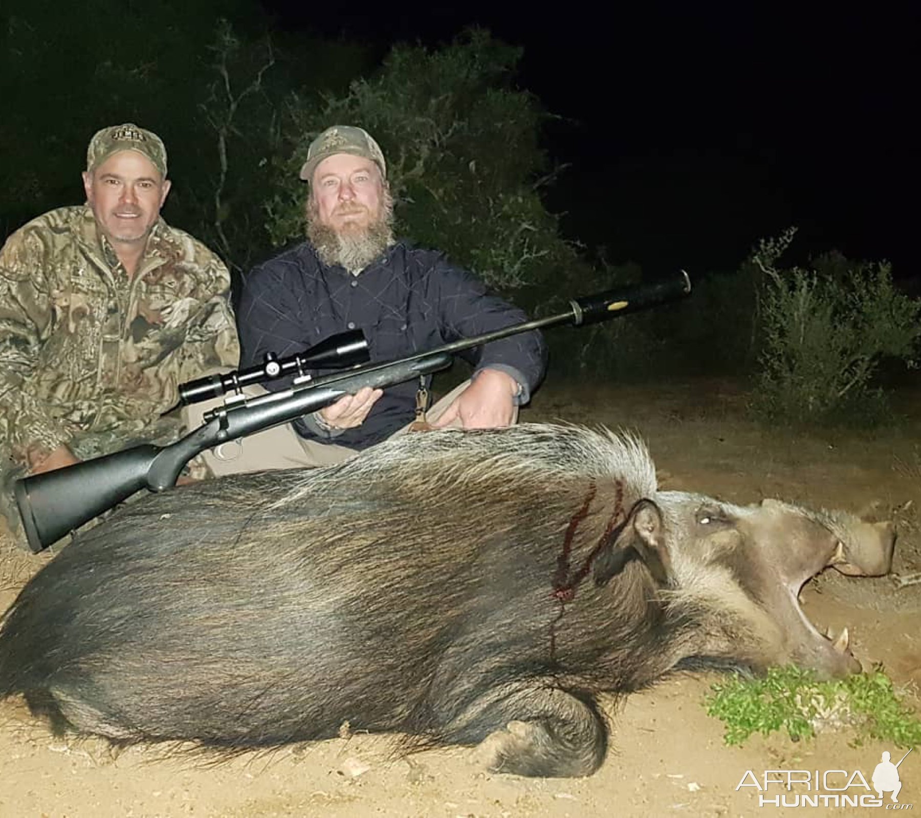 Bushpig Hunting Eastern Cape South Africa