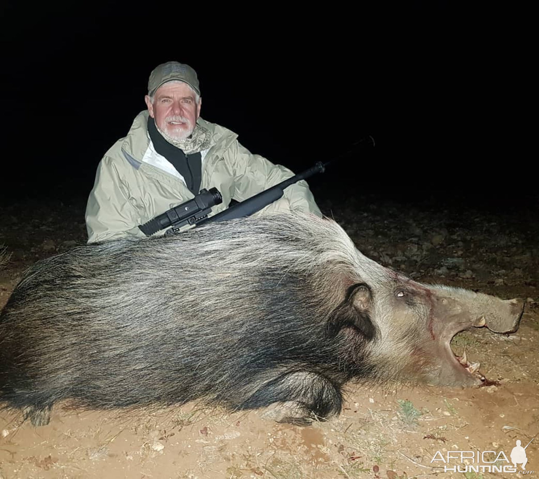 Bushpig Hunting Eastern Cape South Africa