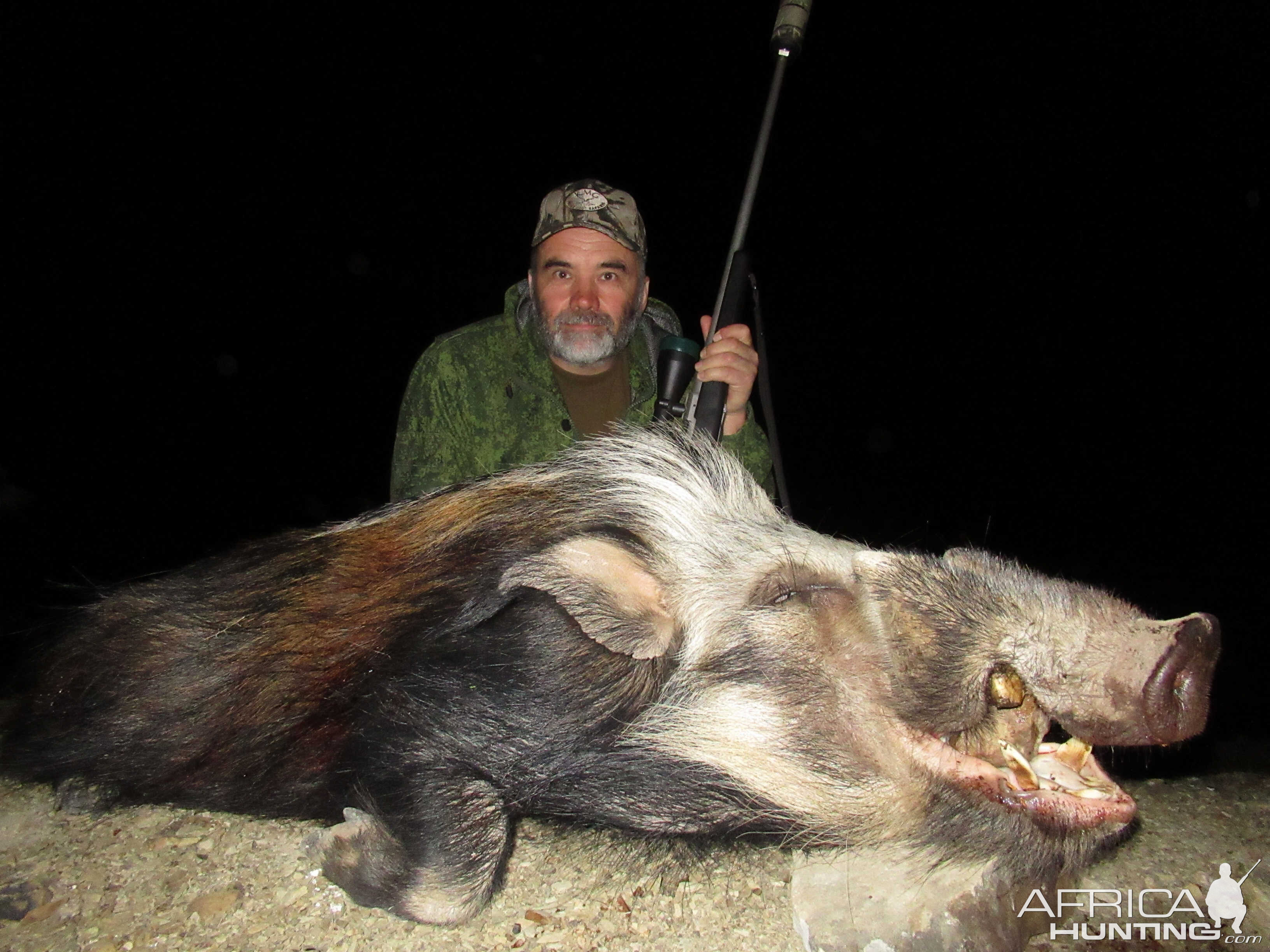 Bushpig Hunting in South Africa