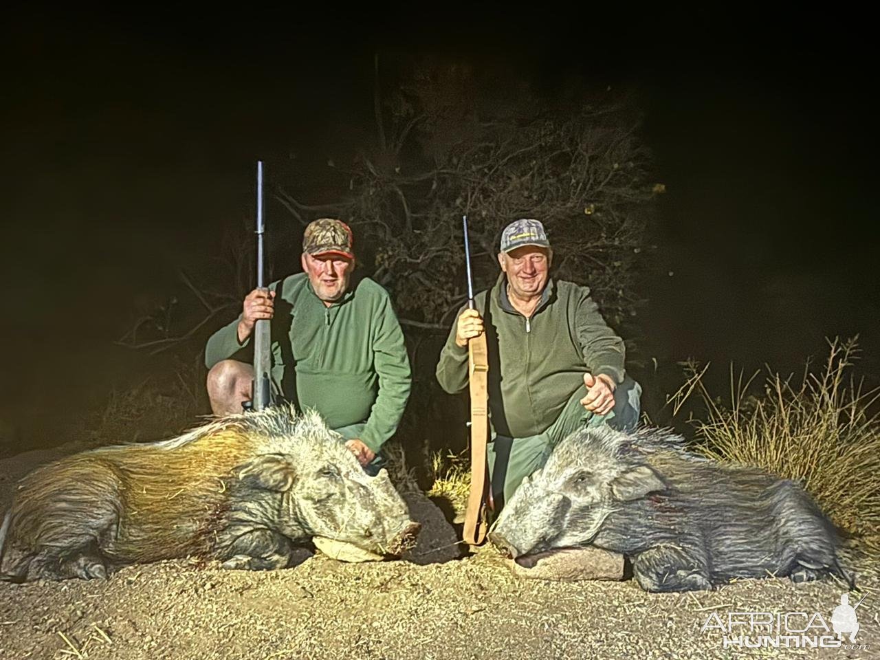 Bushpig Hunting Limpopo South Africa