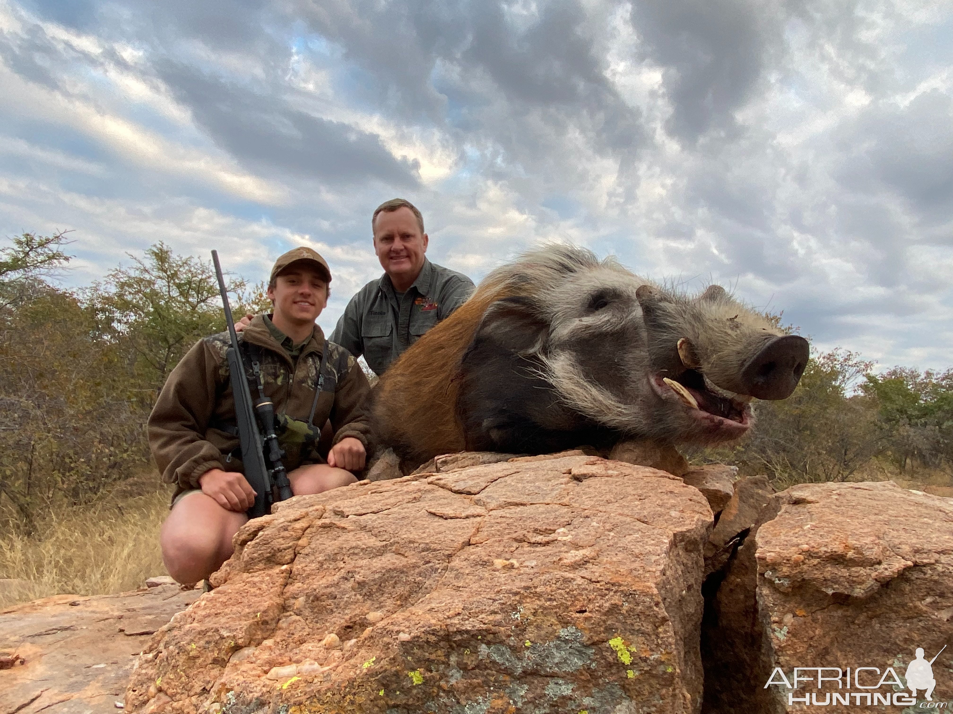 Bushpig Hunting Limpopo South Africa